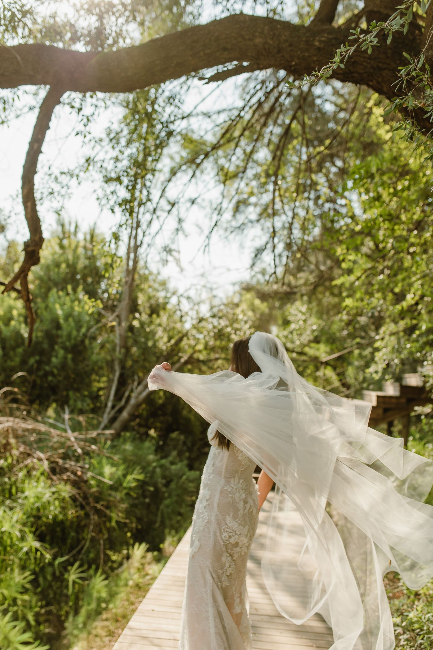 Bride in lace dress with flowing veil billowing in the wind under a tree.