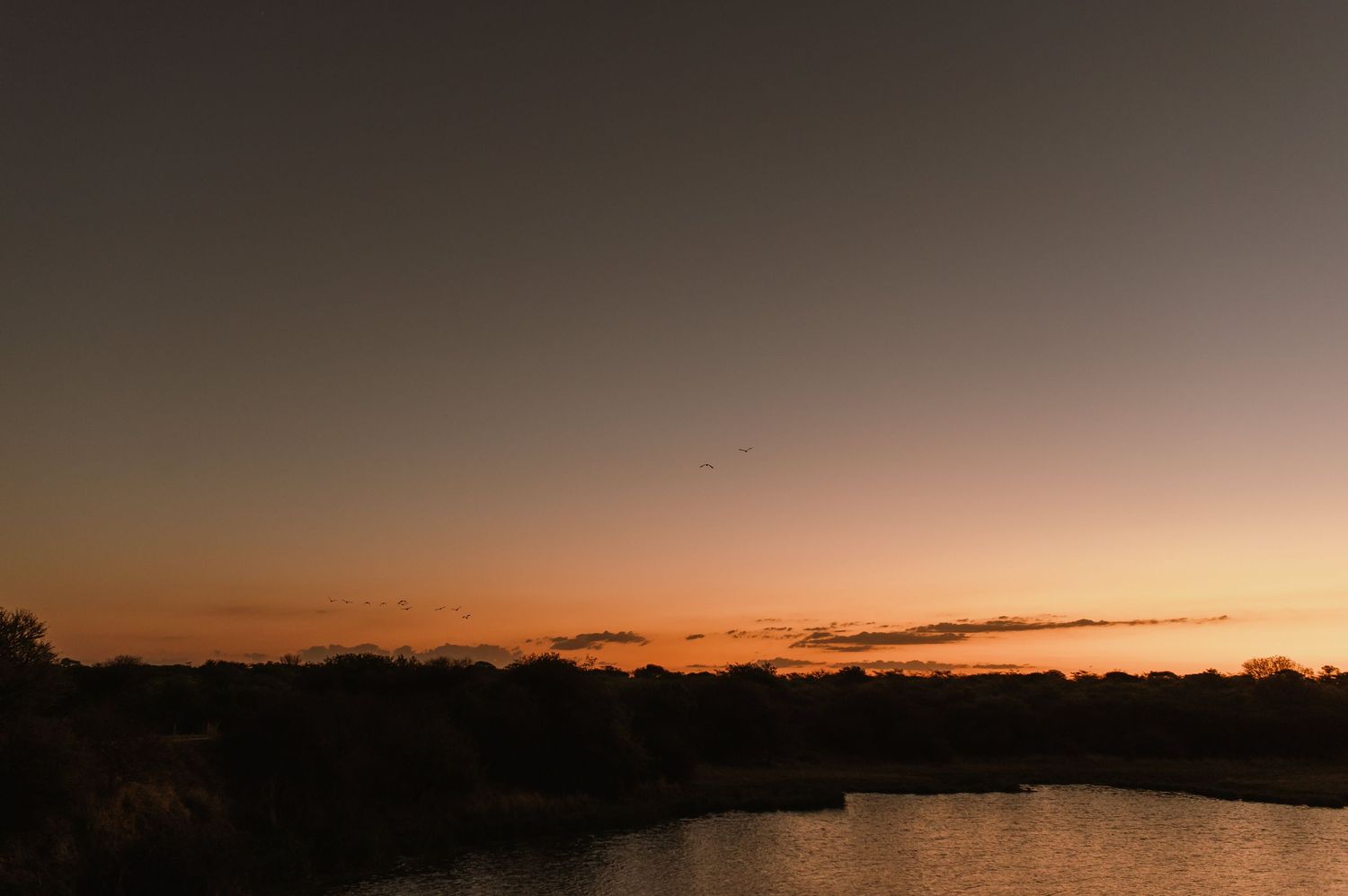Panoramic view of a stunning sunset over a natural landscape.