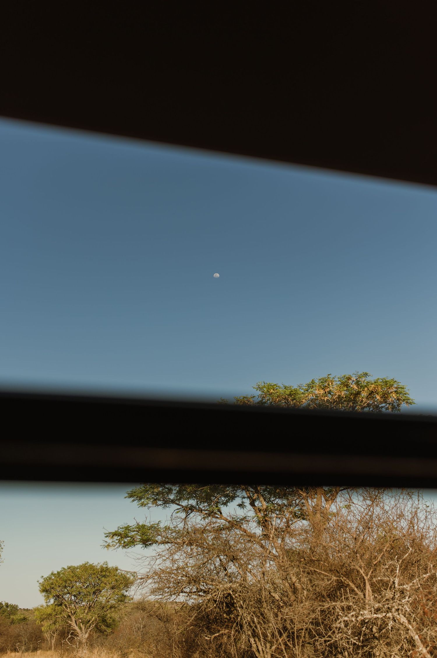 View of African savanna through a vehicle window frame with blue sky and scattered trees.