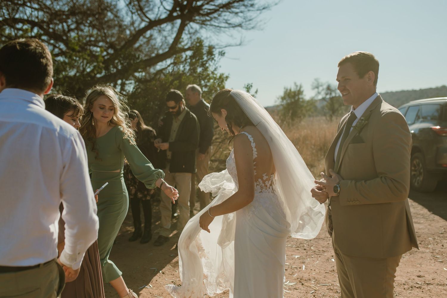 Sun-drenched wedding celebration with guests gathered under sprawling tree branches.