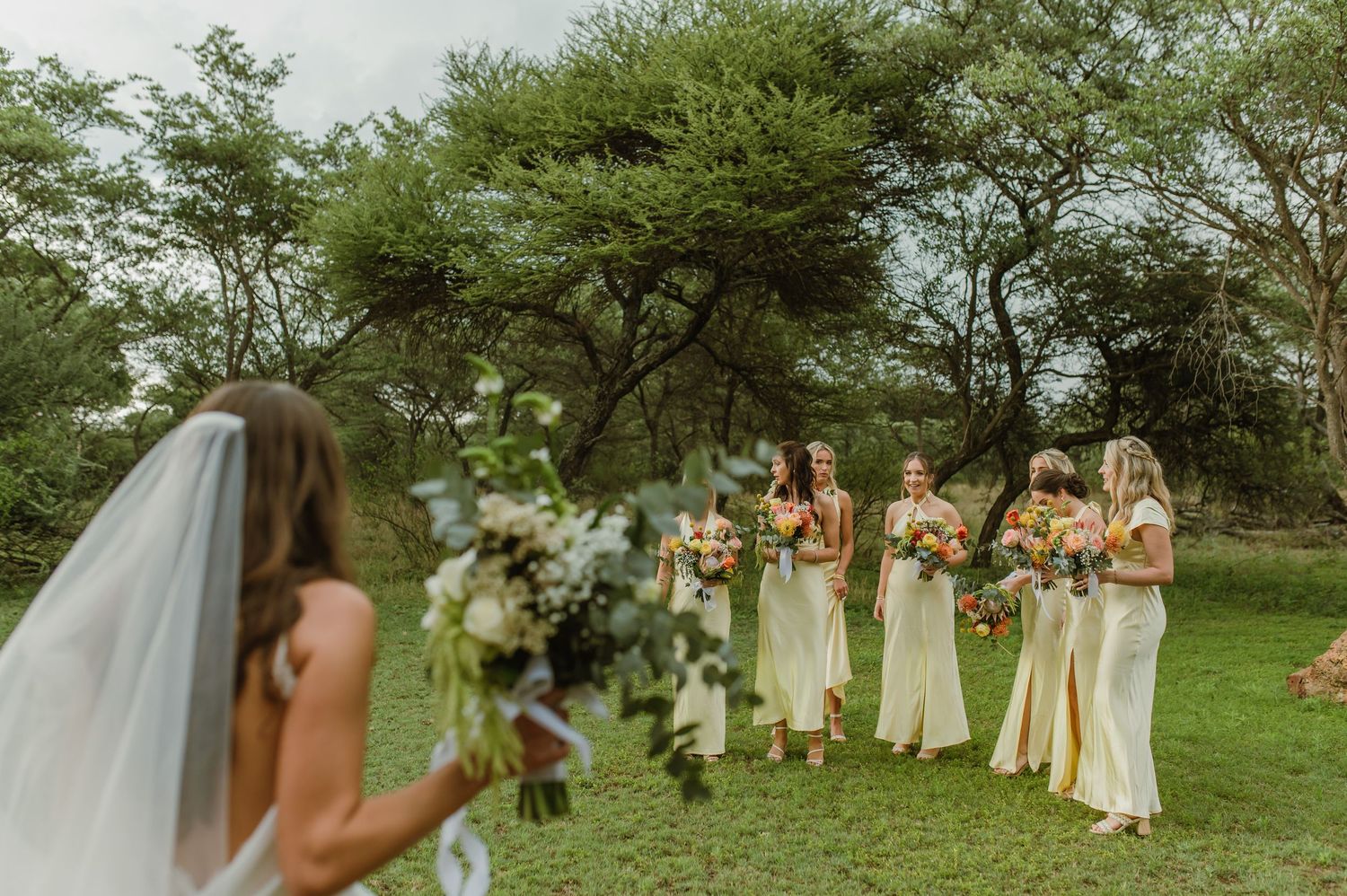 Wedding party in pastel dresses gathered on green lawn with trees in background.