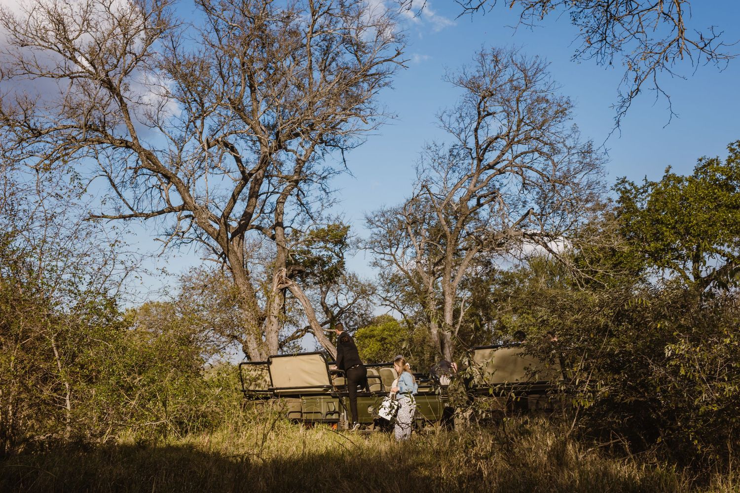 Thornybush Game Lodge, Kruger National Park Wedding by Safari Wedding Photographer Wildflower Photography