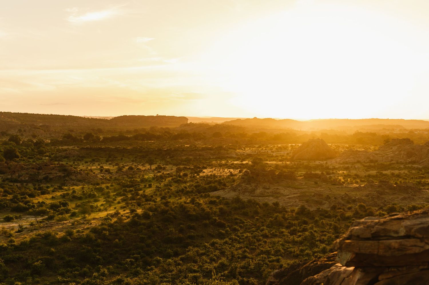 chirs & sam Mashatu game reserve, Botswana wedding by Safari wedding photographer wildflower photography