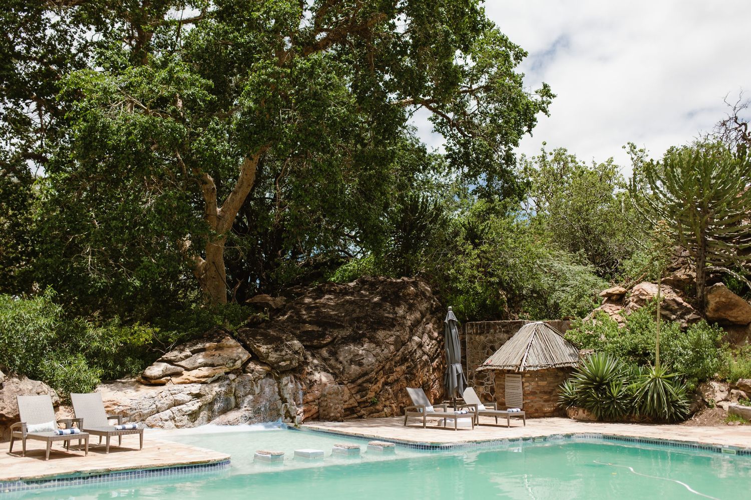 chirs & sam Mashatu game reserve, Botswana wedding by wildflower photography