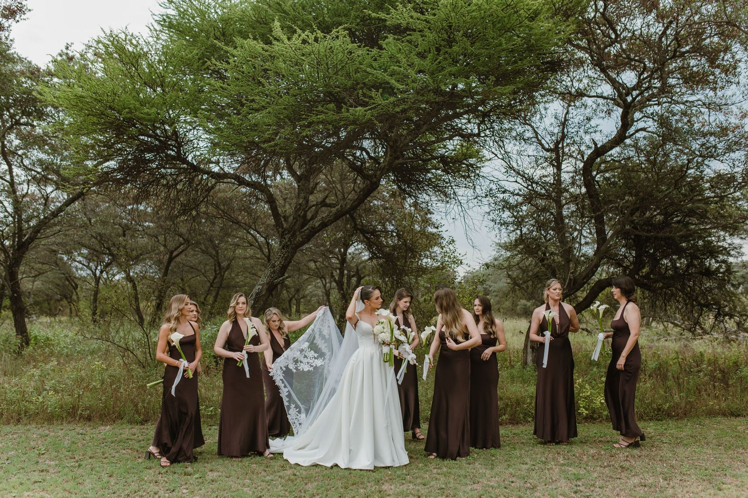 Wedding party in brown bridesmaid dresses posing outdoors under green acacia trees.