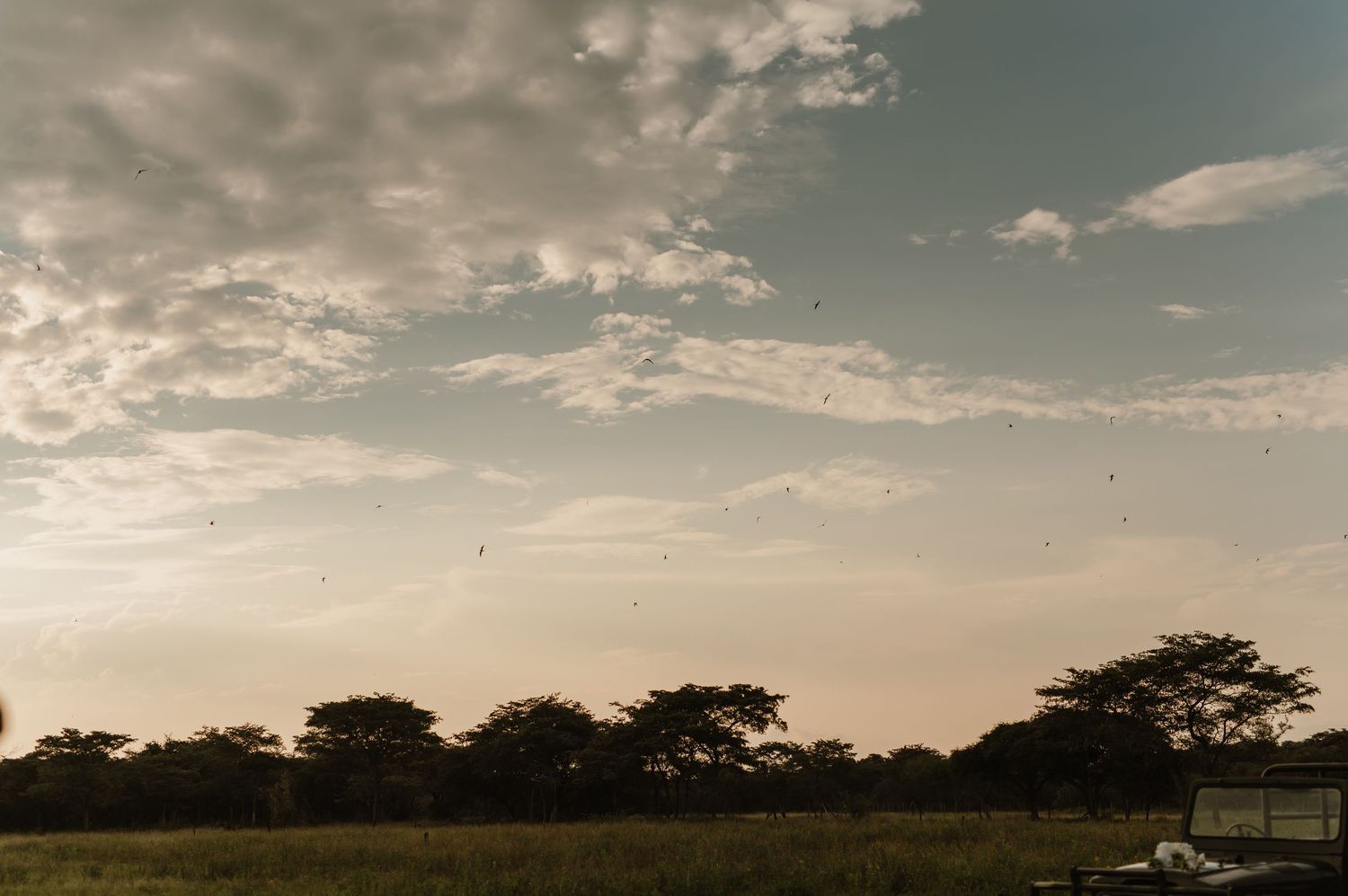 Dramatic sunset sky over an African savanna landscape with silhouetted acacia trees.