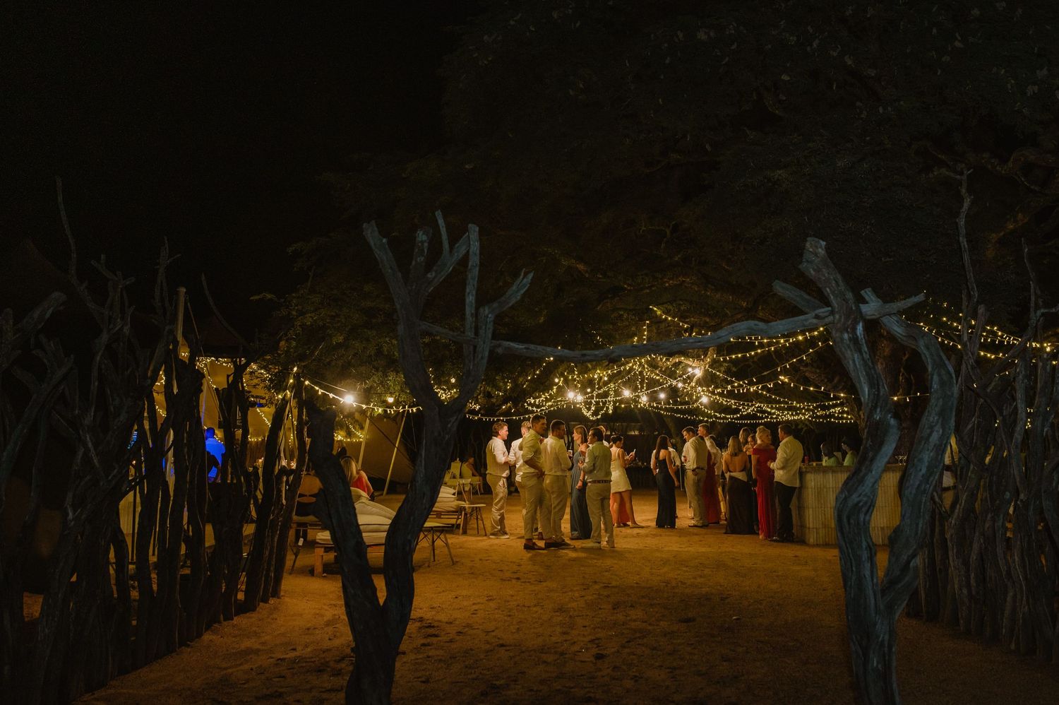 Nighttime outdoor wedding venue with trees illuminated by string lights creating a magical atmosphere.