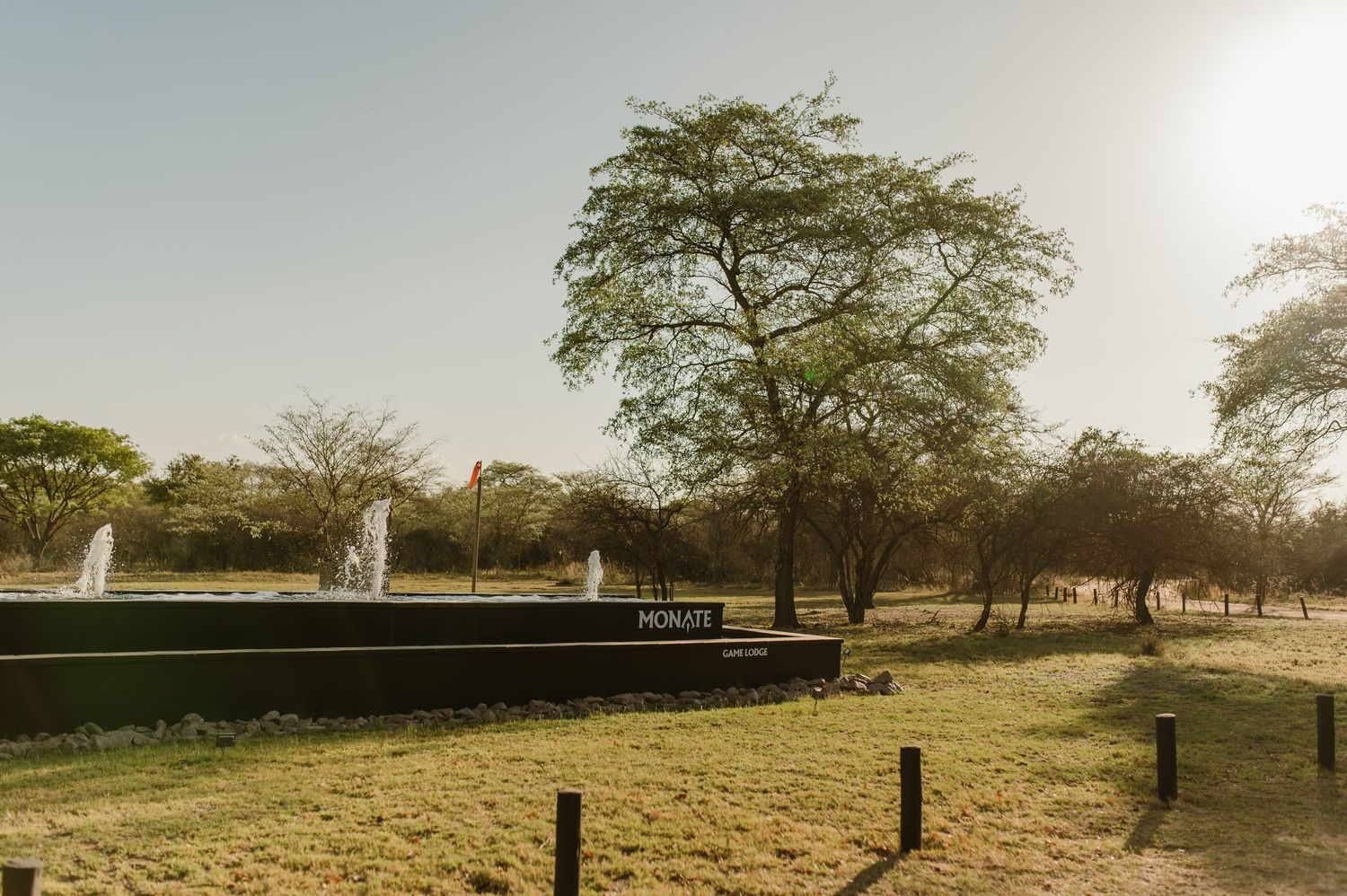 Scenic African landscape with water fountains and acacia trees in a grassy savanna setting.