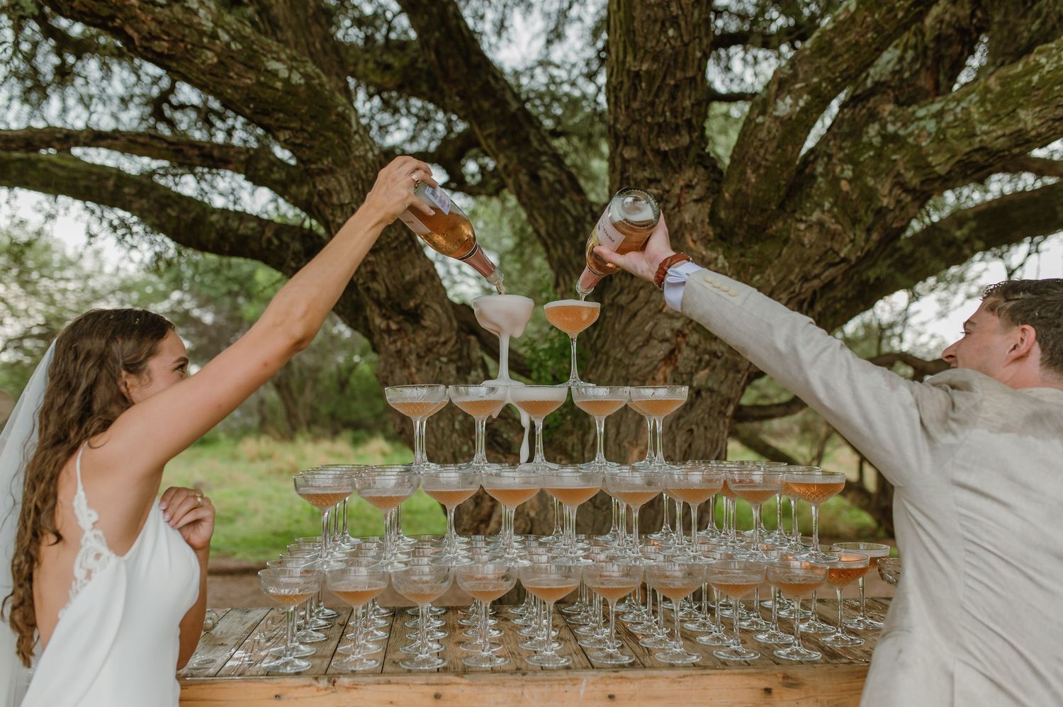 Wedding guests toasting with champagne glasses under a tree at an outdoor reception.
