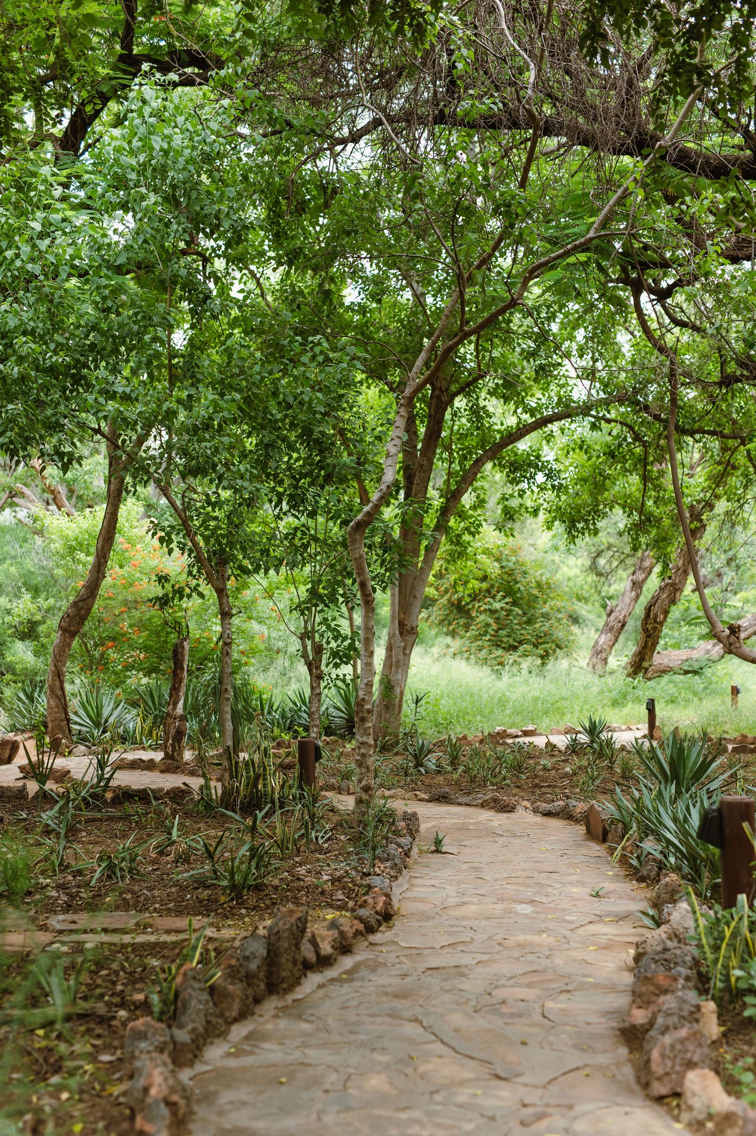 Mashatu game reserve, Tuli Safari Lodge, Botswana safari wedding by Safari wedding photographer wildflower photography