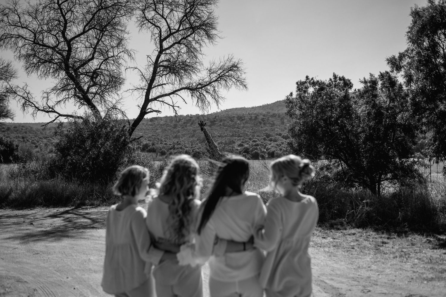 Black and white silhouettes of people walking together outdoors under trees.