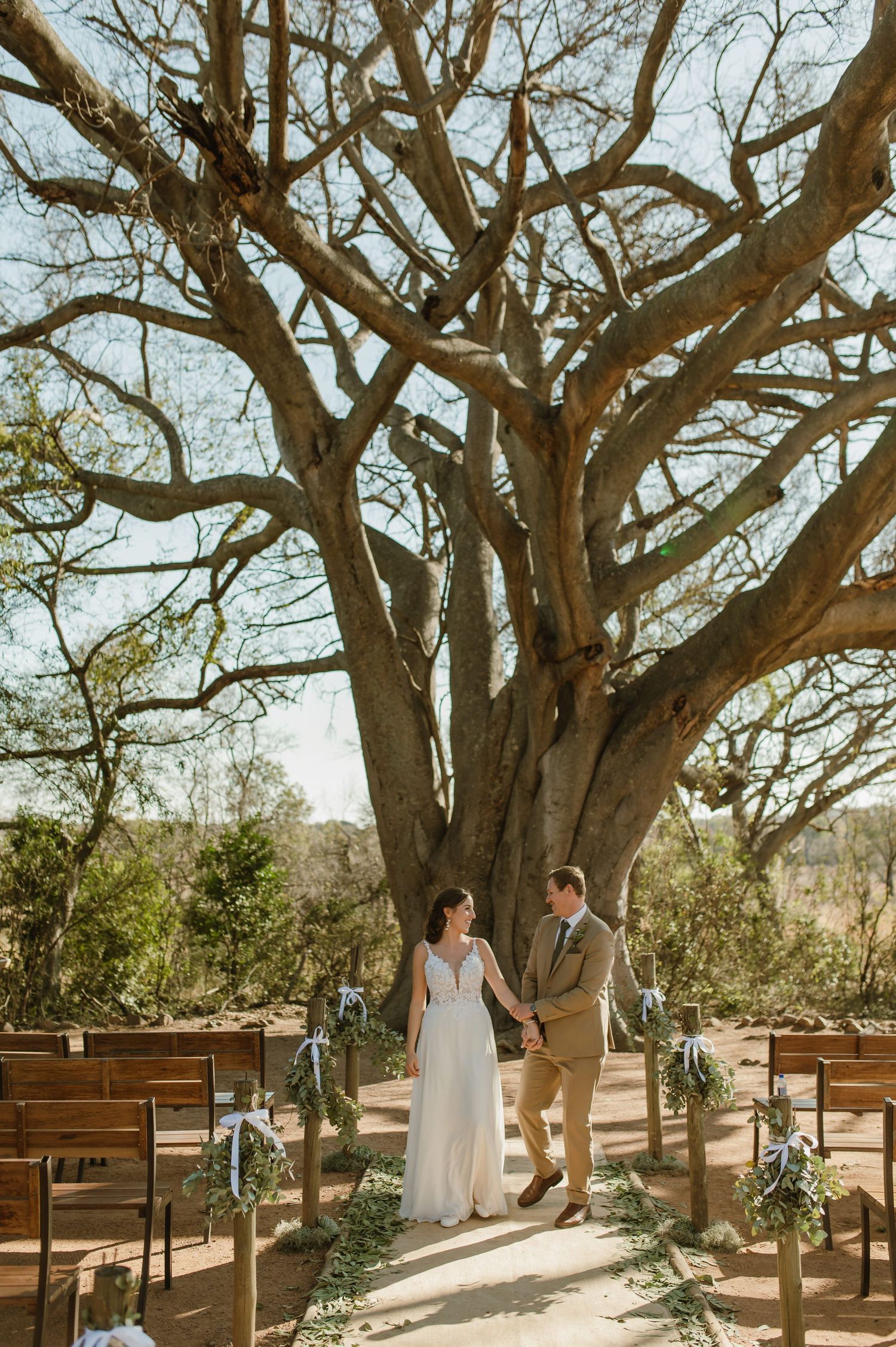 Wooden benches line a natural outdoor wedding venue under sprawling tree branches.
