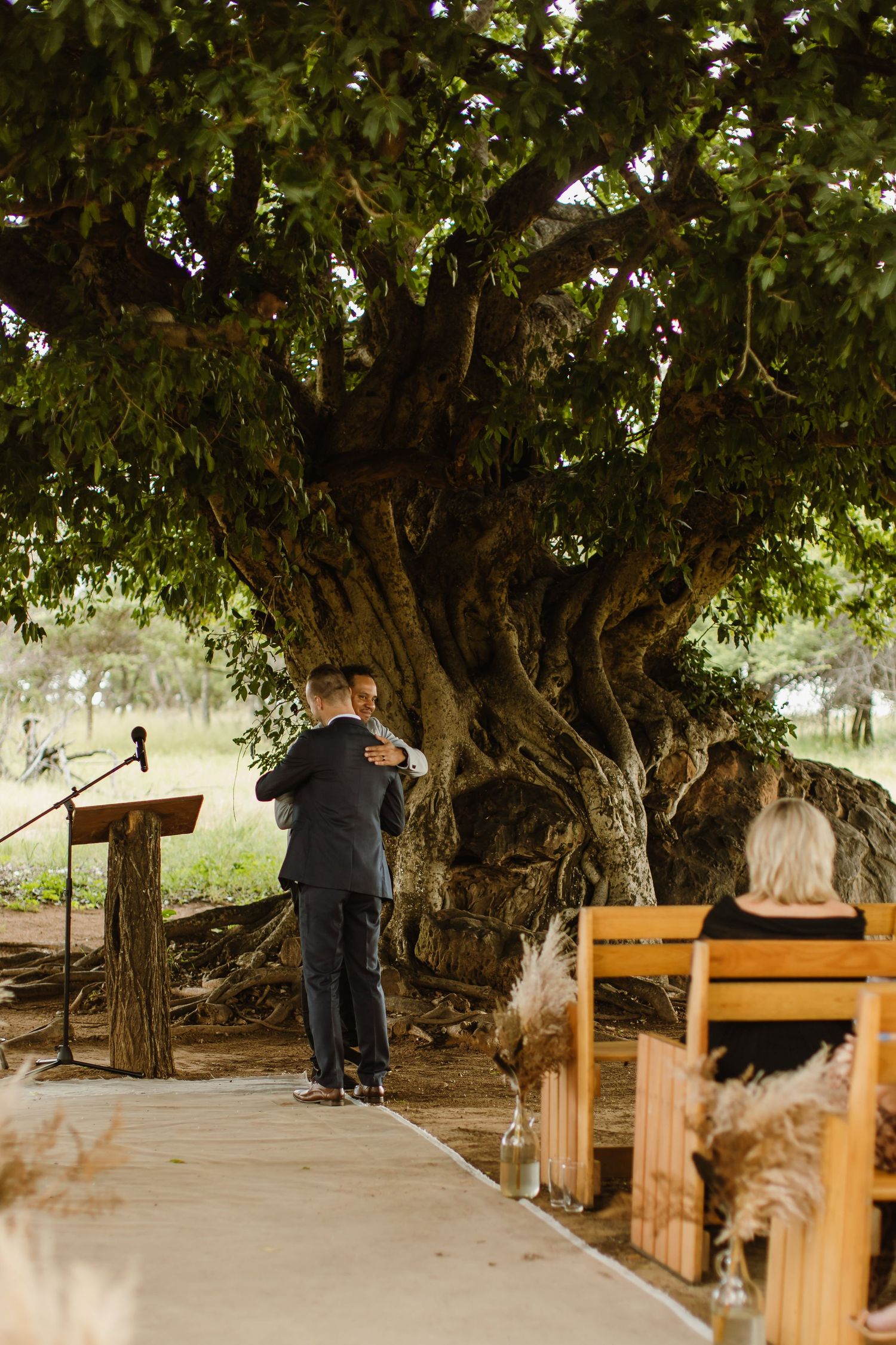 An outdoor wedding ceremony setup under a large ancient tree with wooden benches and pampas grass decorations.