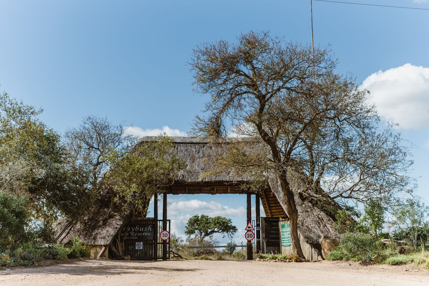 Thornybush Game Lodge, Kruger National Park Wedding by Safari Wedding Photographer Wildflower Photography