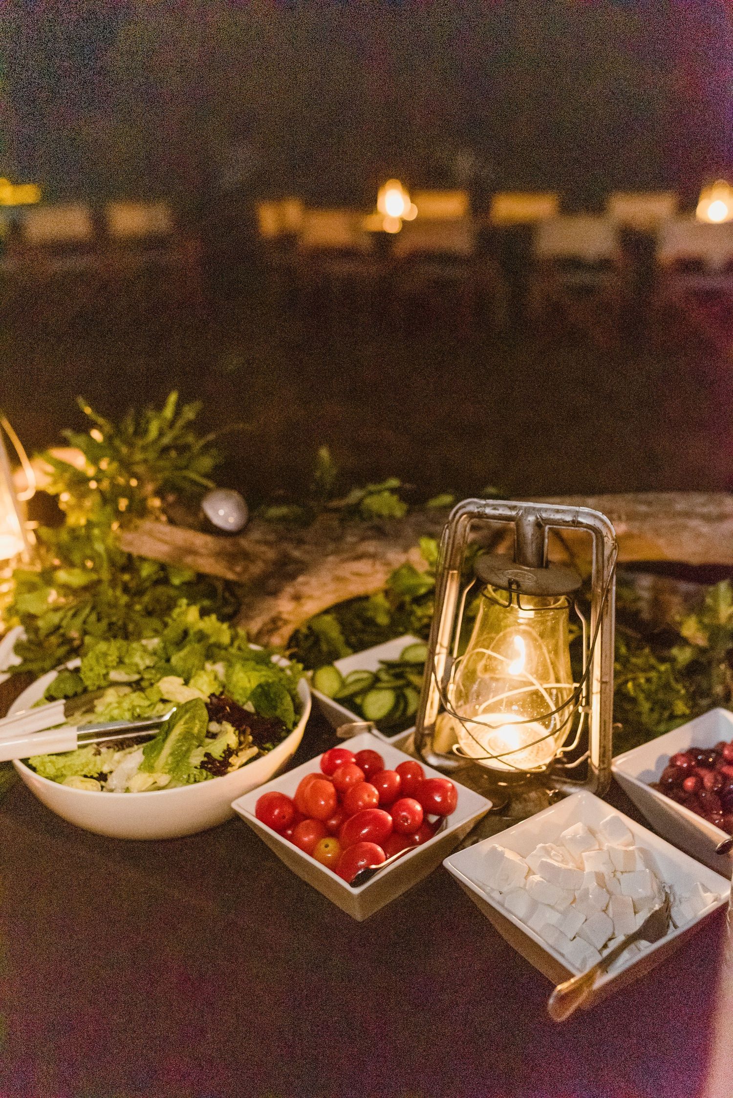 Thornybush Game Lodge, Kruger National Park Wedding by Safari Wedding Photographer Wildflower Photography