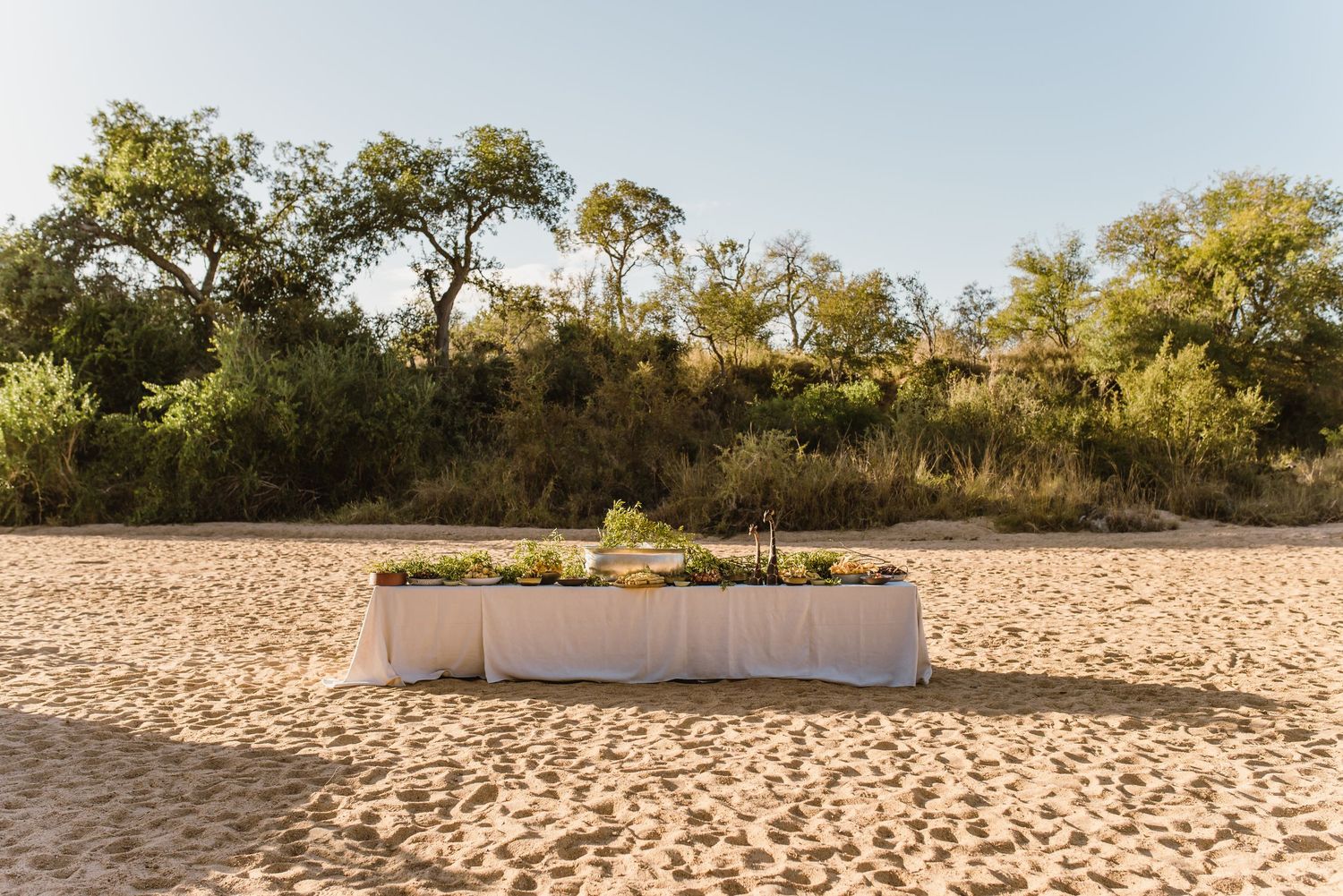 Thornybush Game Lodge, Kruger National Park Wedding by South African Safari Wedding Photographer Wildflower Photography