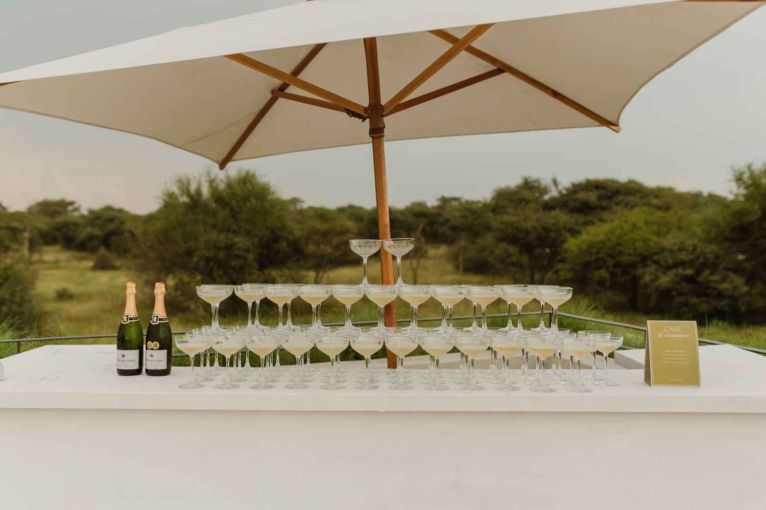 A row of wine glasses and bottles arranged under a beige umbrella for an outdoor tasting event.