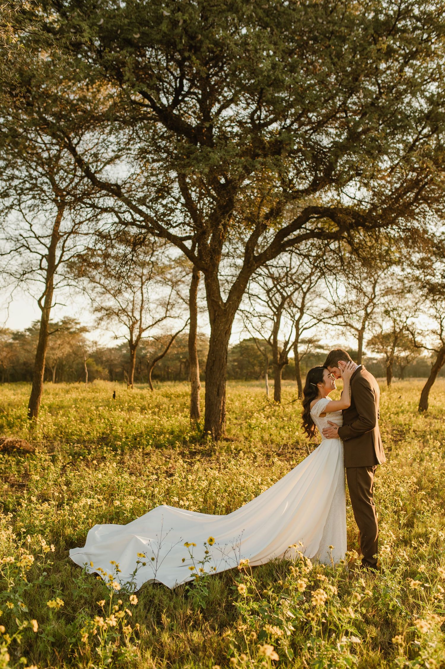 A romantic wedding portrait with flowing dress against golden wildflowers and acacia trees.