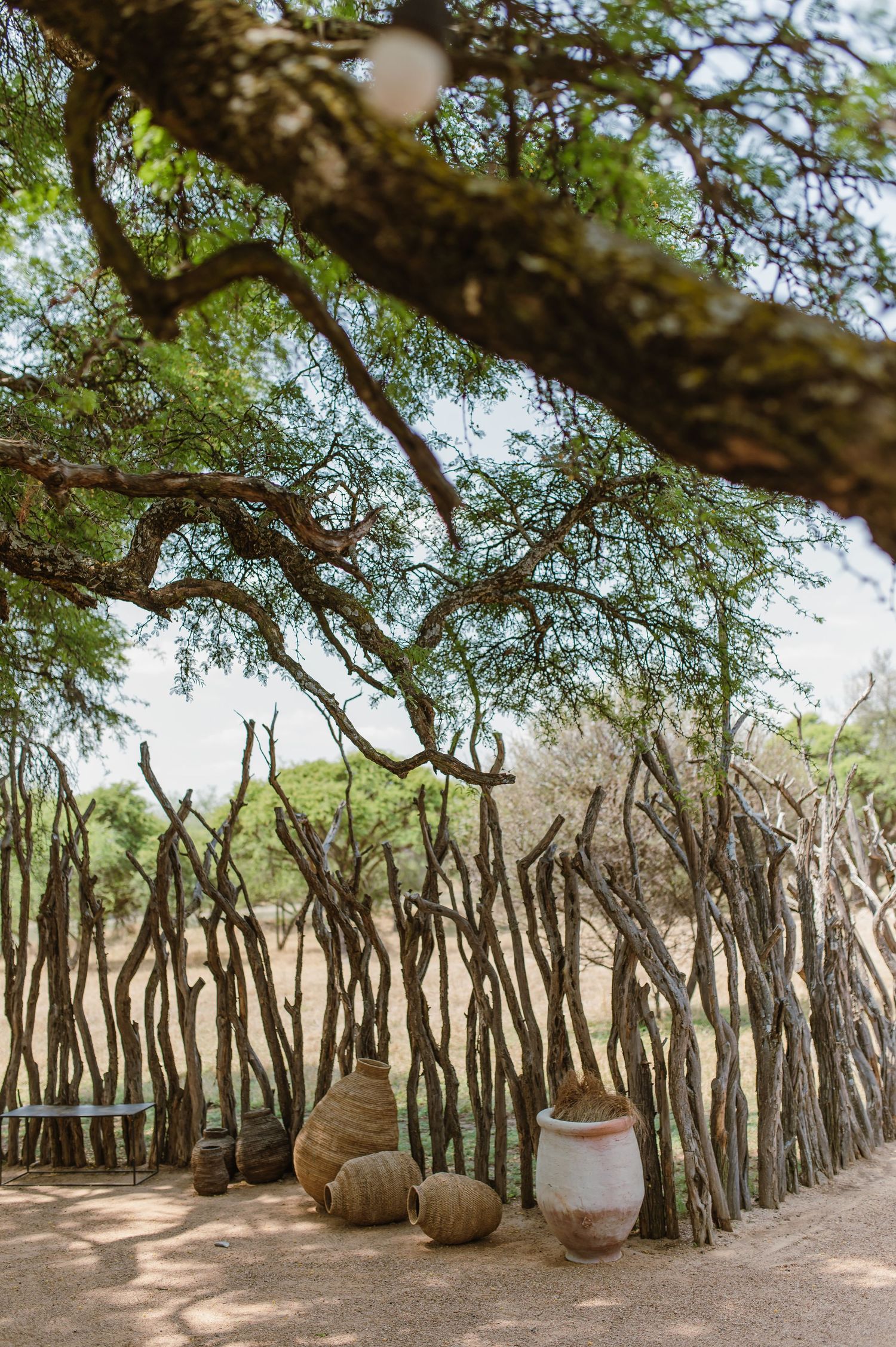 Natural fence made of wooden posts surrounded by trees in a rustic outdoor setting.