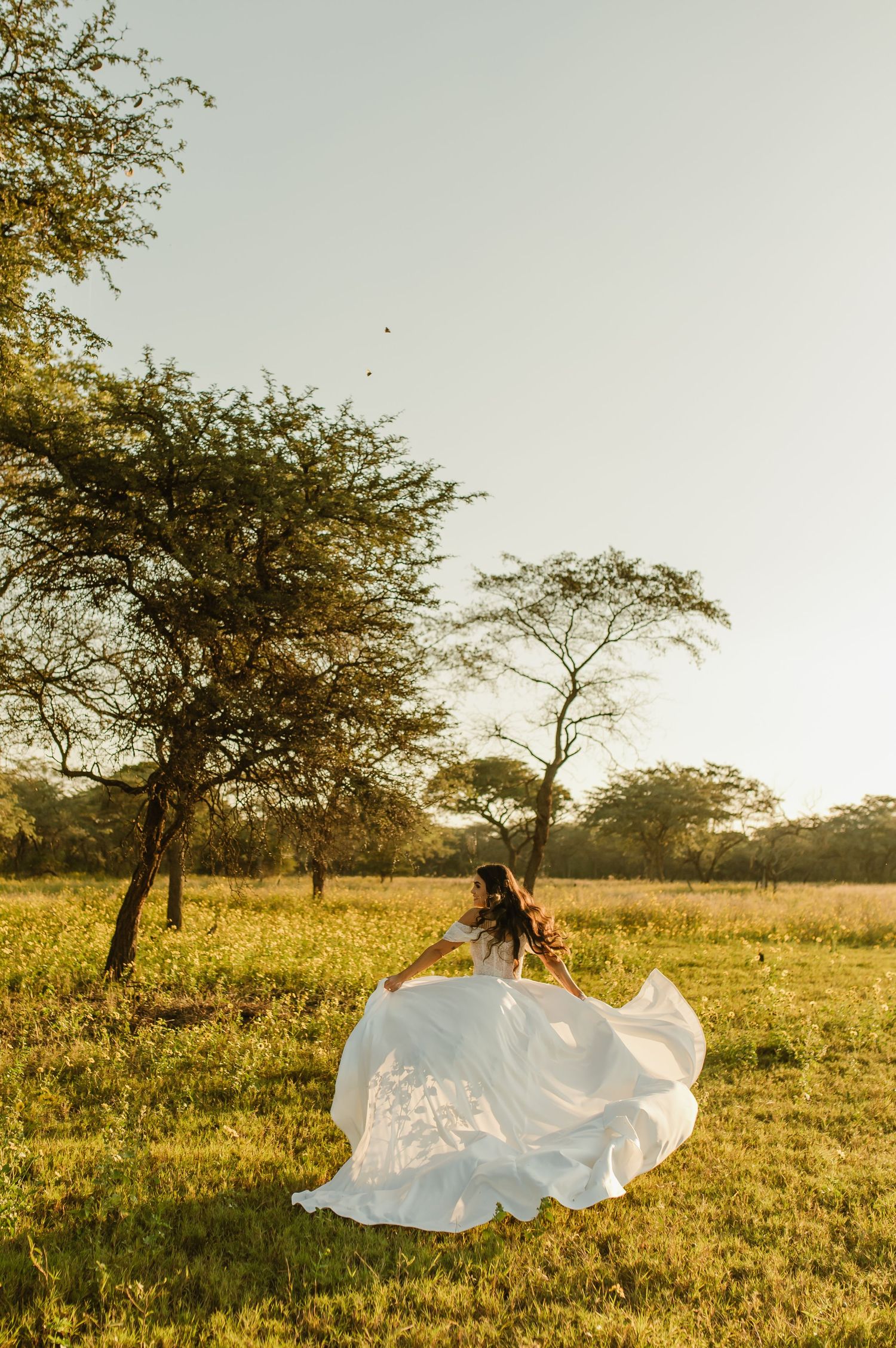 Bride's dress flows dramatically in breeze against golden savanna landscape.