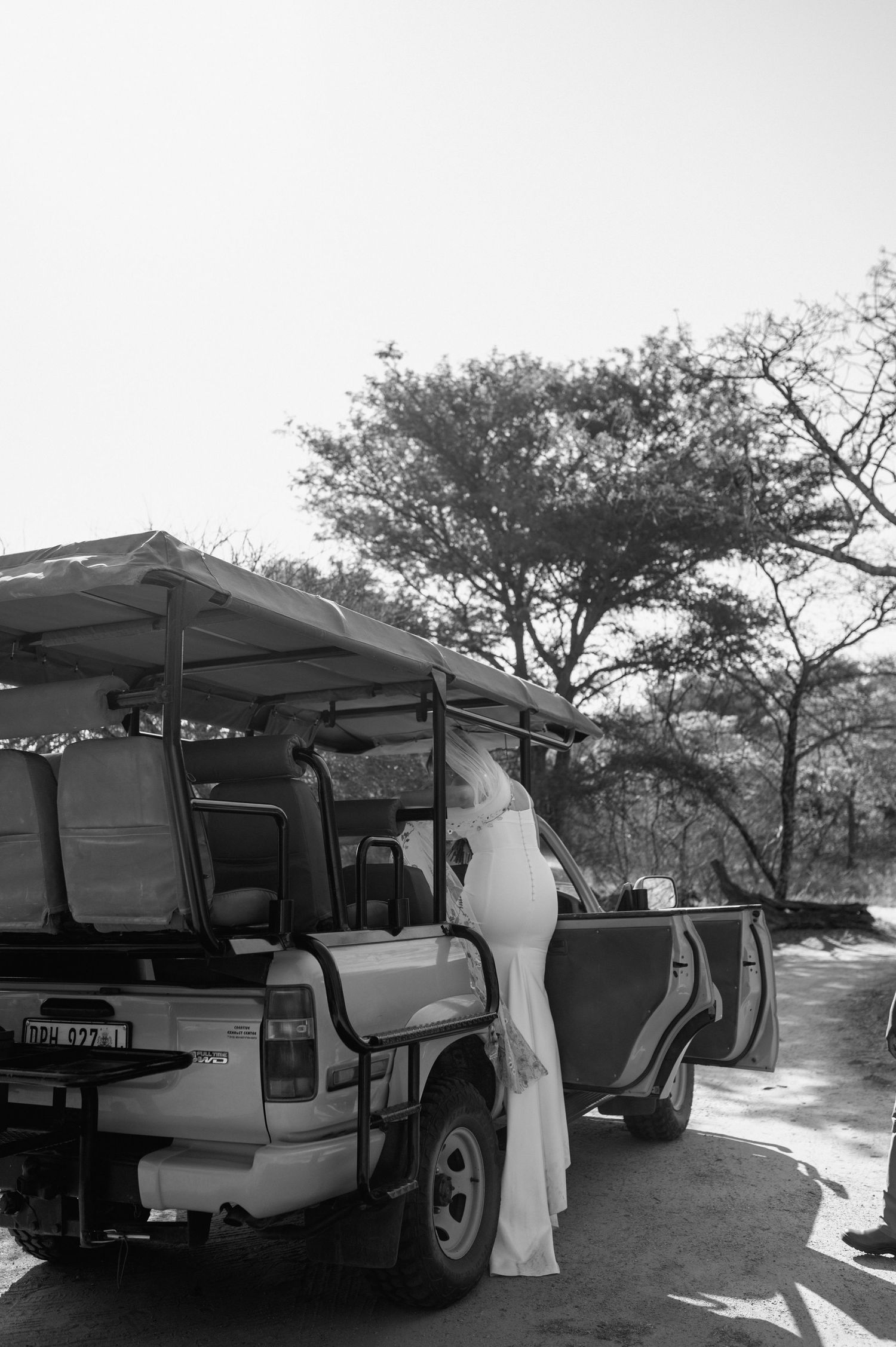 Safari vehicles parked in a row under acacia trees in an African landscape.