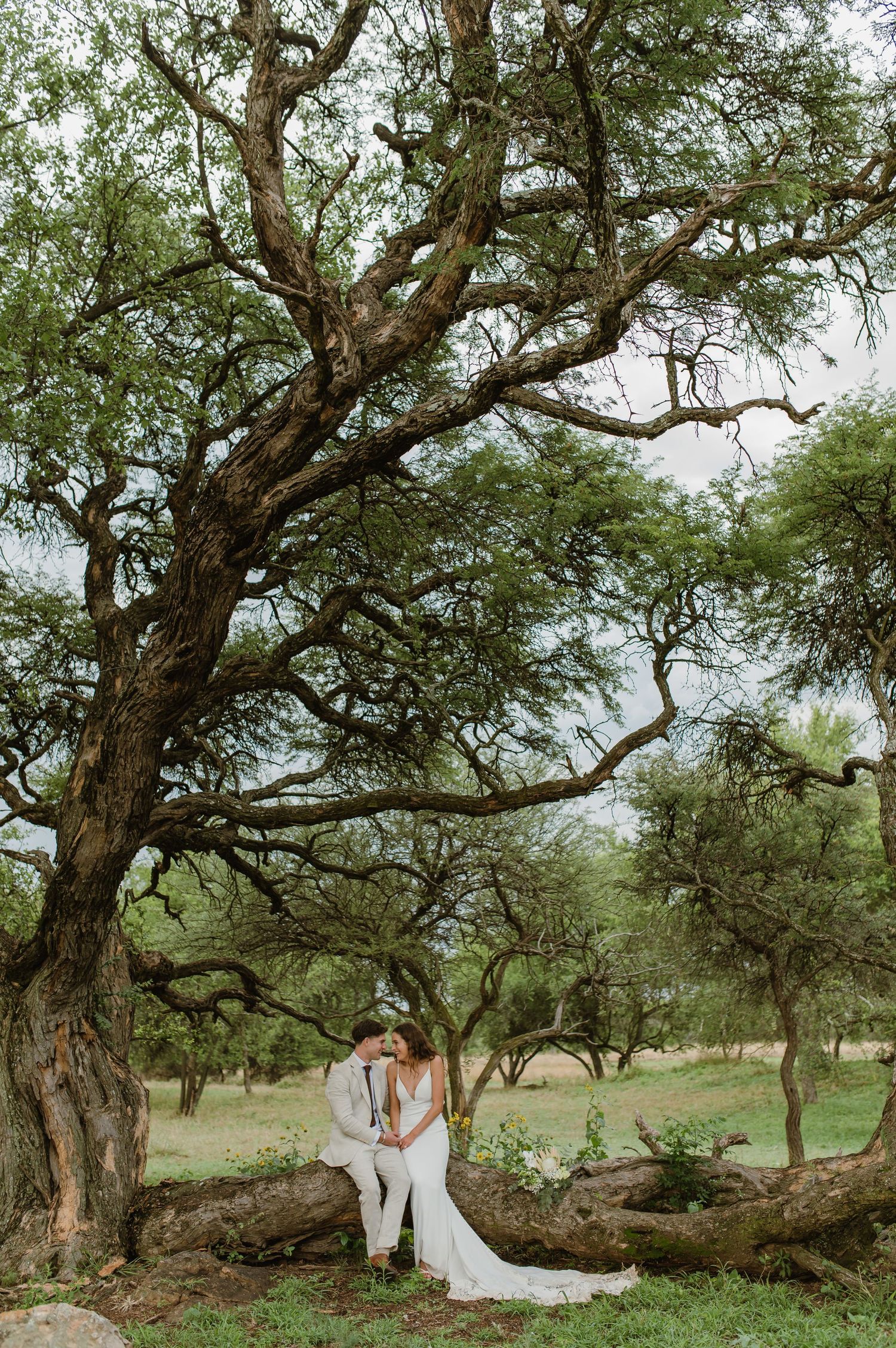 Wedding photography session among twisted tree branches in a rustic outdoor setting.
