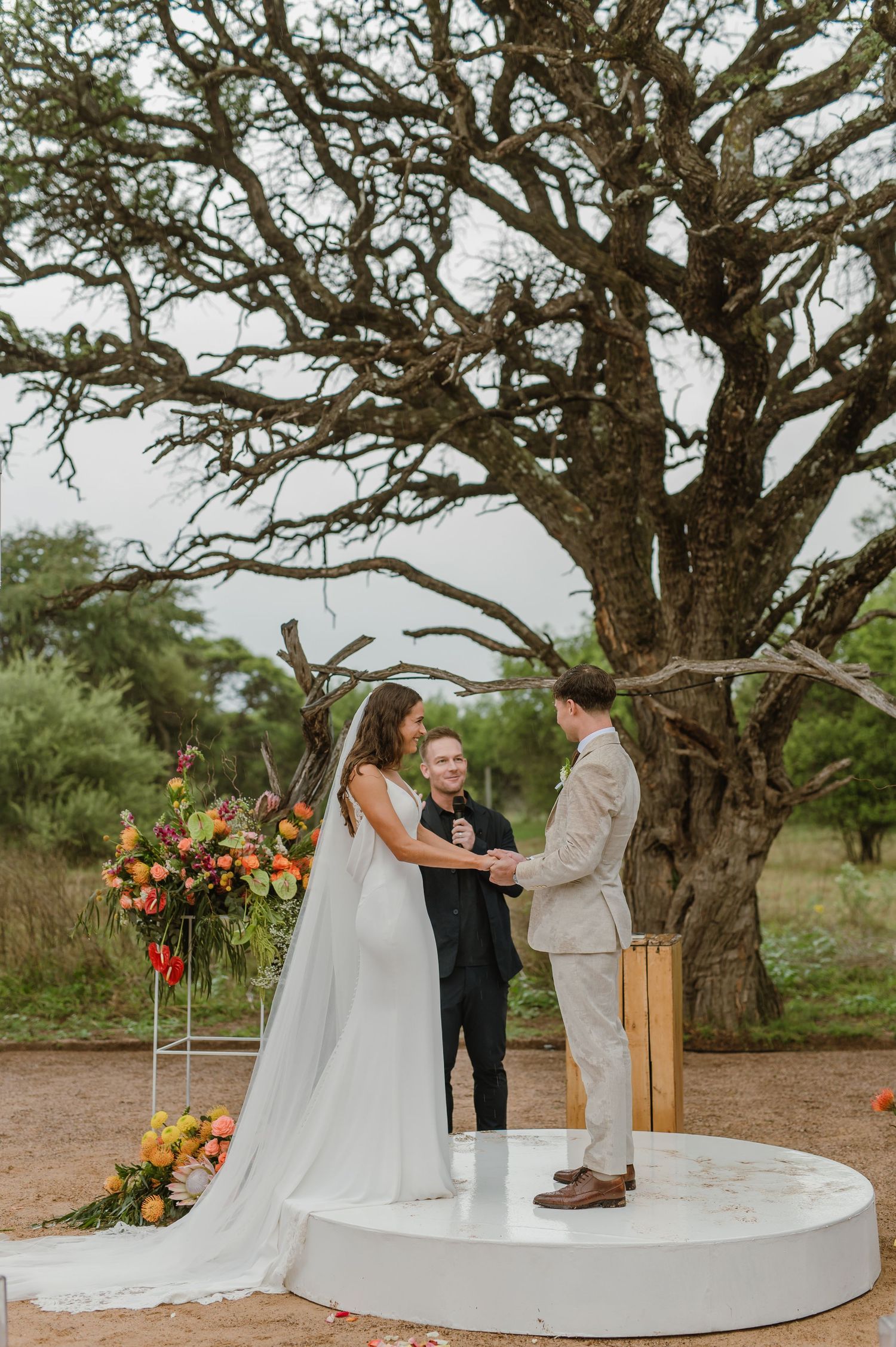 A wedding ceremony unfolds beneath a majestic old tree with white and orange floral arrangements.