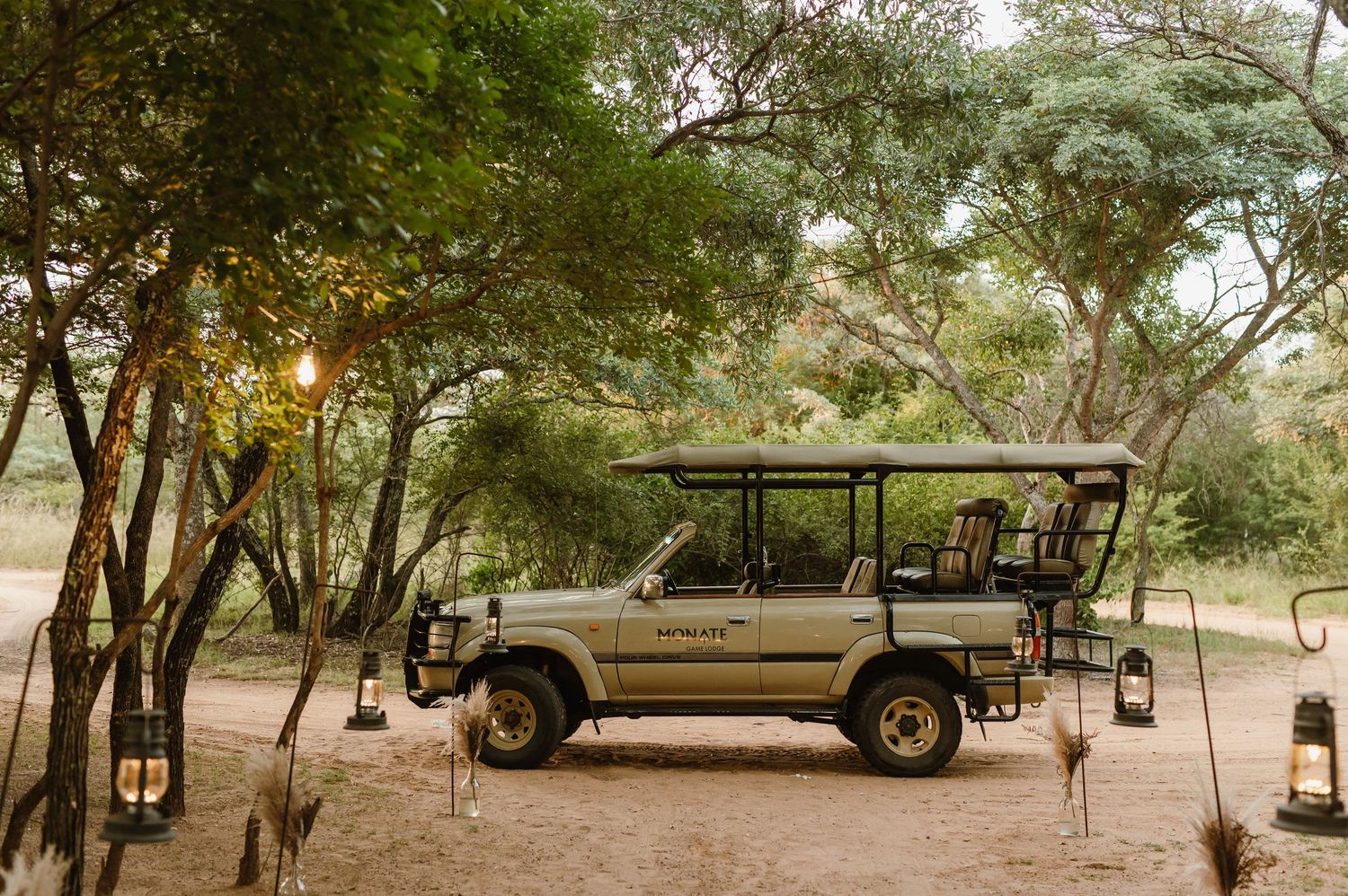 A safari vehicle parked under trees with hanging lanterns creates an atmospheric scene.