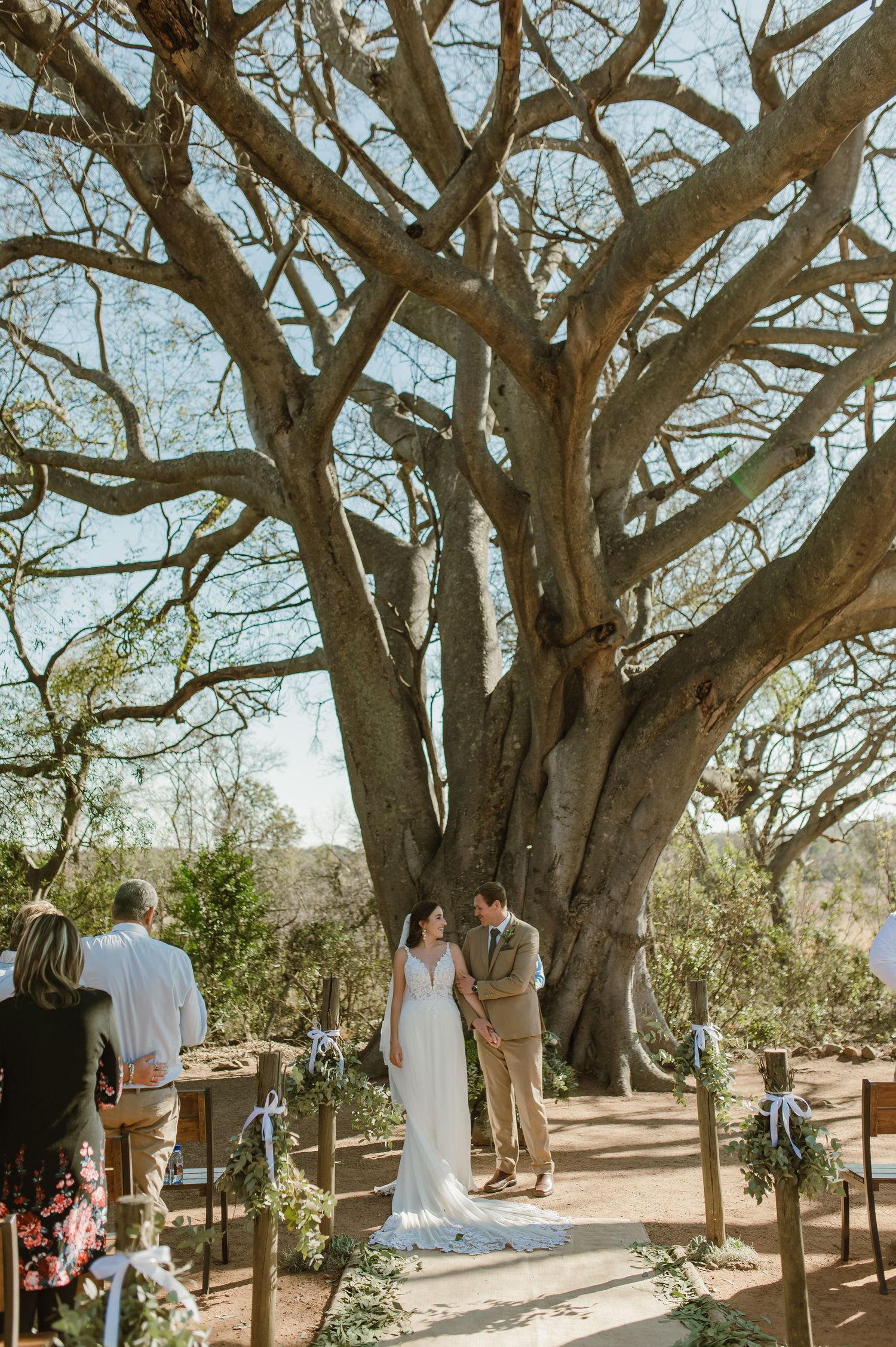 Wedding ceremony site beneath sprawling desert trees with guests seated on wooden benches.