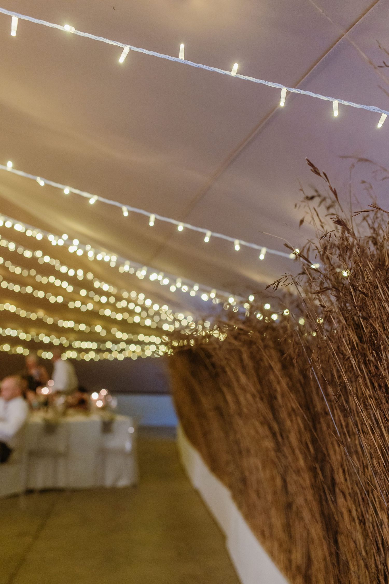 String lights creating a magical ambiance under a white tent ceiling at an evening event.