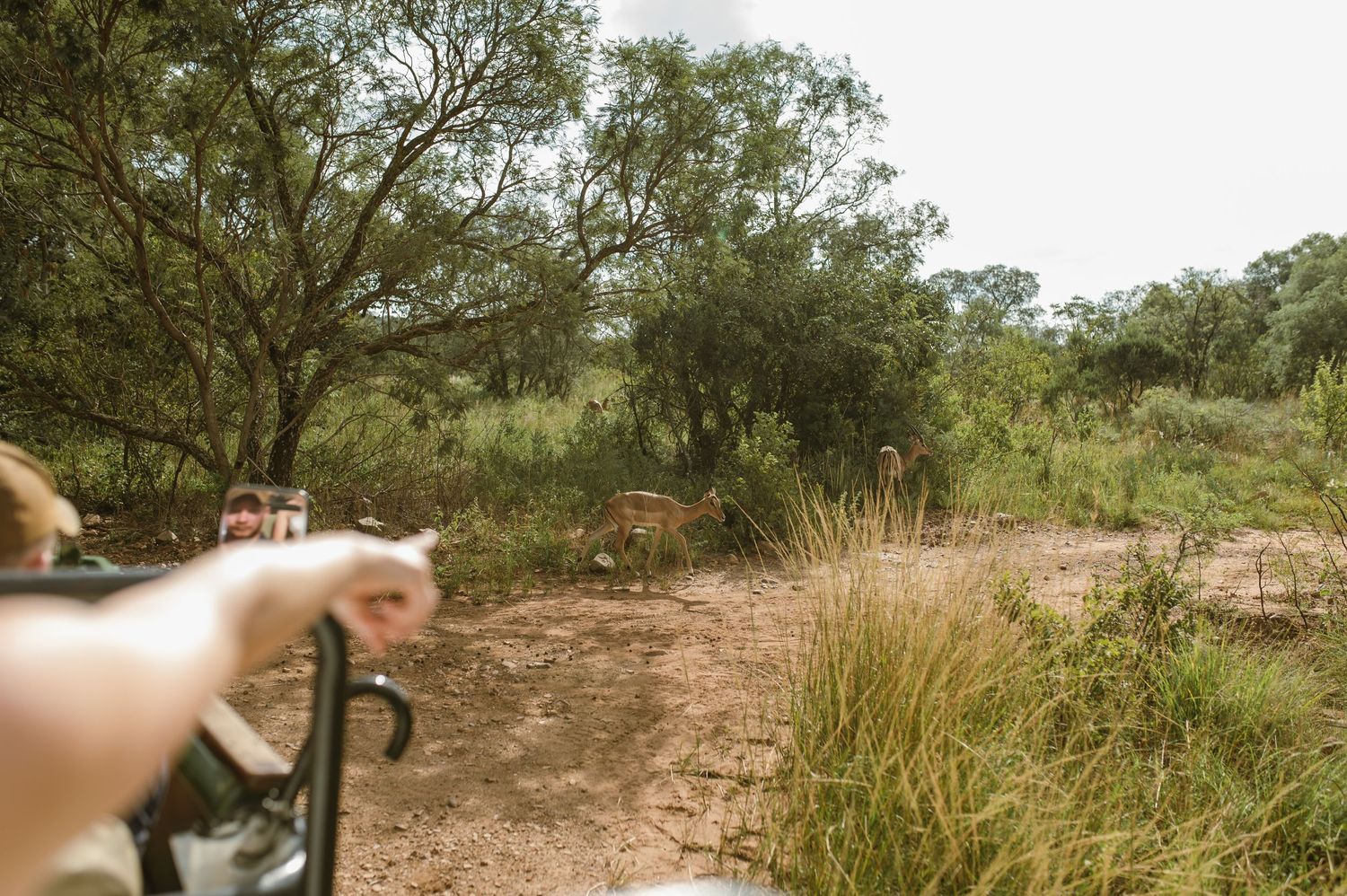 GRAEME & KIRSTY'S KUTHABA BUSH LODGE WEDDING BY SAFARI WEDDING PHOTOGRAPHER WILDFLOWER PHOTOGRAPHY