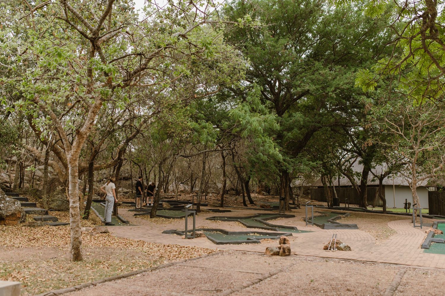 Winding pathway through a natural wooded area with scattered trees.