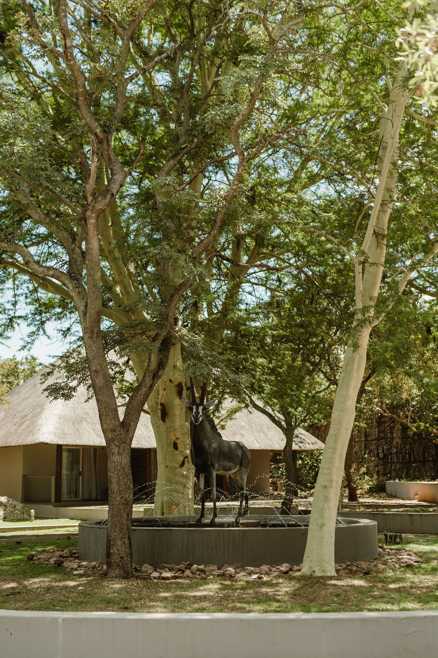 Large bronze kudu sculpture displayed between trees near thatched roof building.