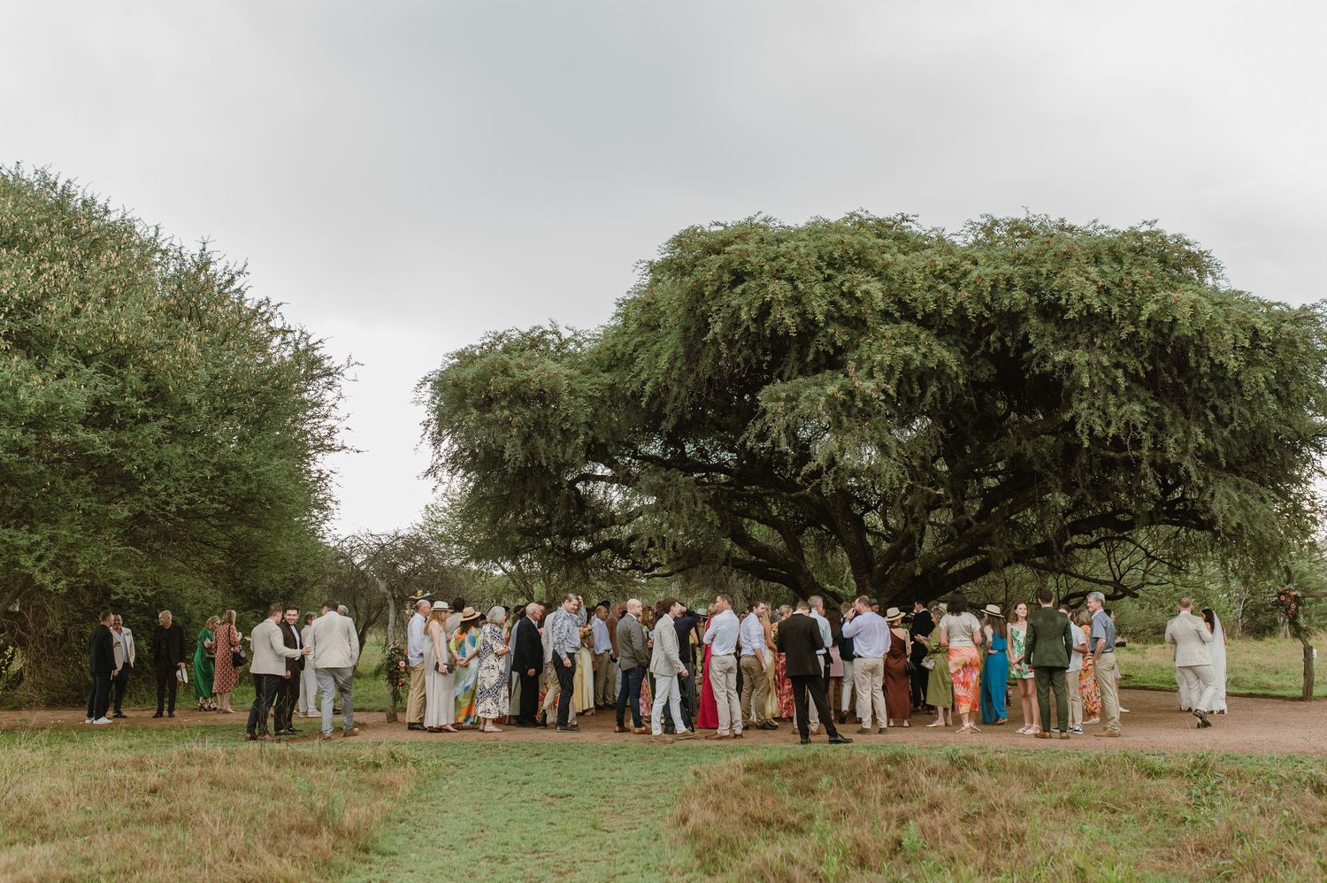 Wide panoramic view of wedding guests gathered under trees in an outdoor setting.