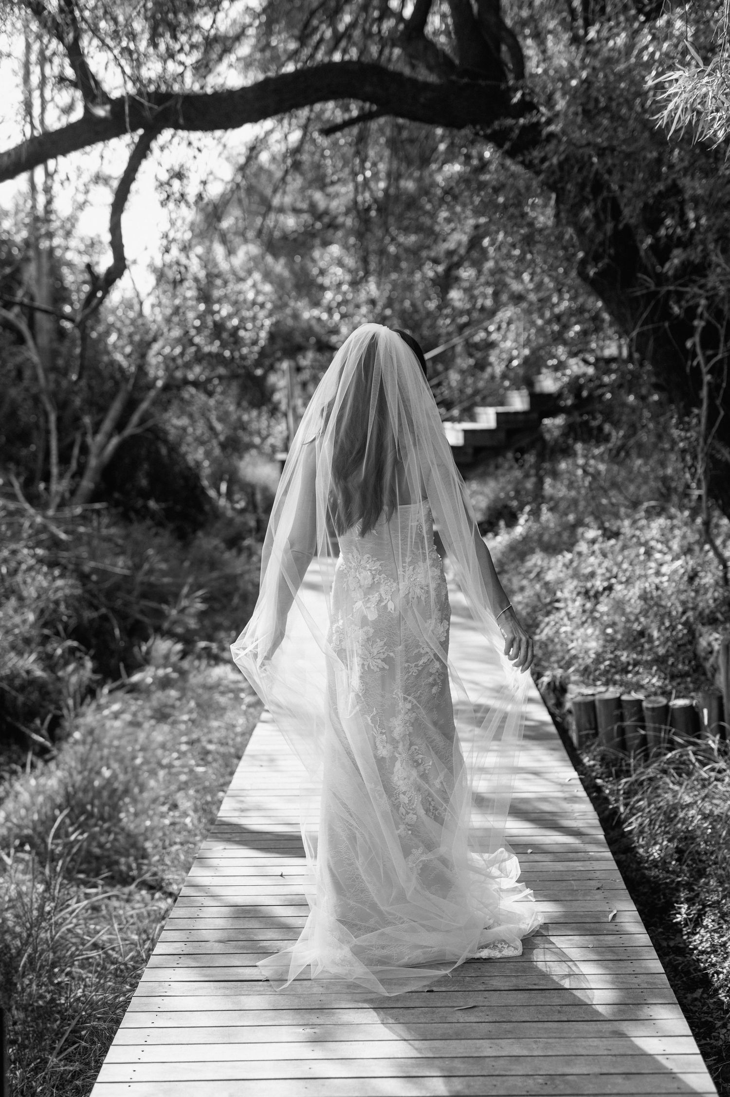 Black and white photo of bride in lace gown walking away on wooden boardwalk in forest.