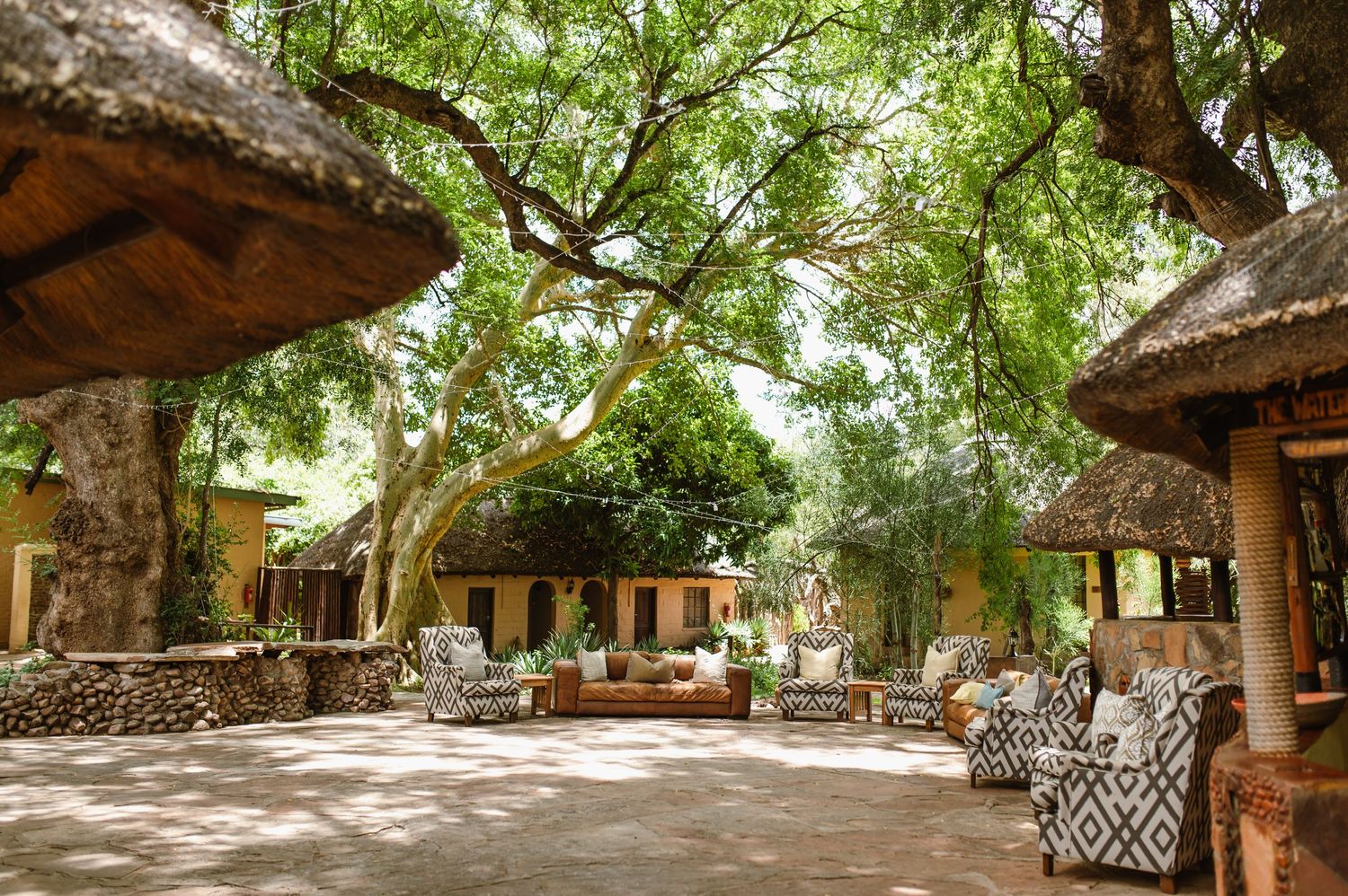 chirs & sam Mashatu game reserve, Botswana wedding by wildflower photography