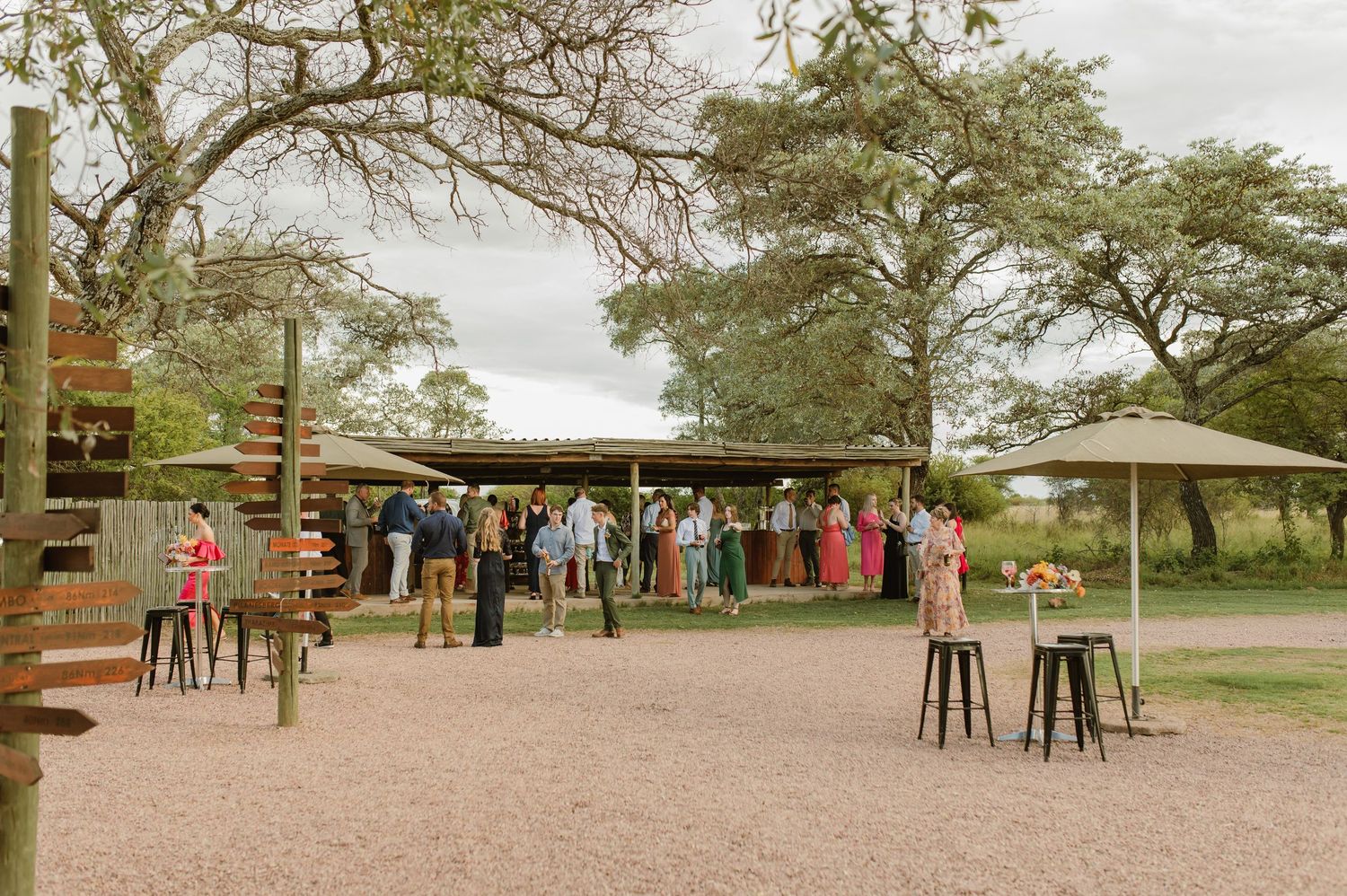Wedding guests enjoy cocktail hour under rustic open-air pavilion surrounded by trees and high-top tables.