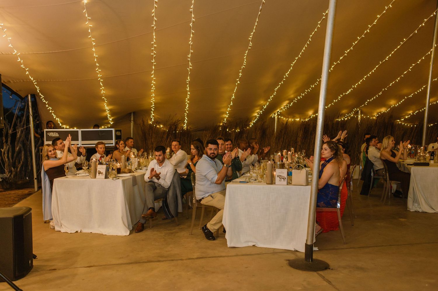 Wedding reception tent illuminated with warm string lights creating a romantic atmosphere.