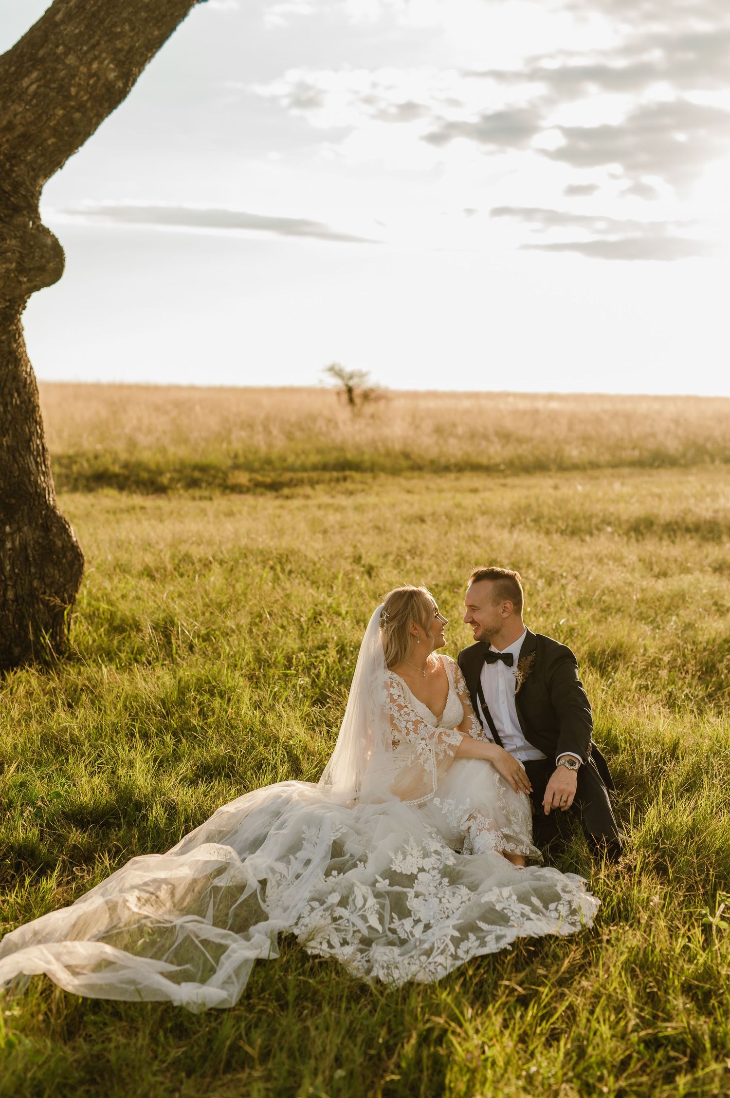 Sunset wedding portrait of couple sitting beneath a large tree in a golden field.