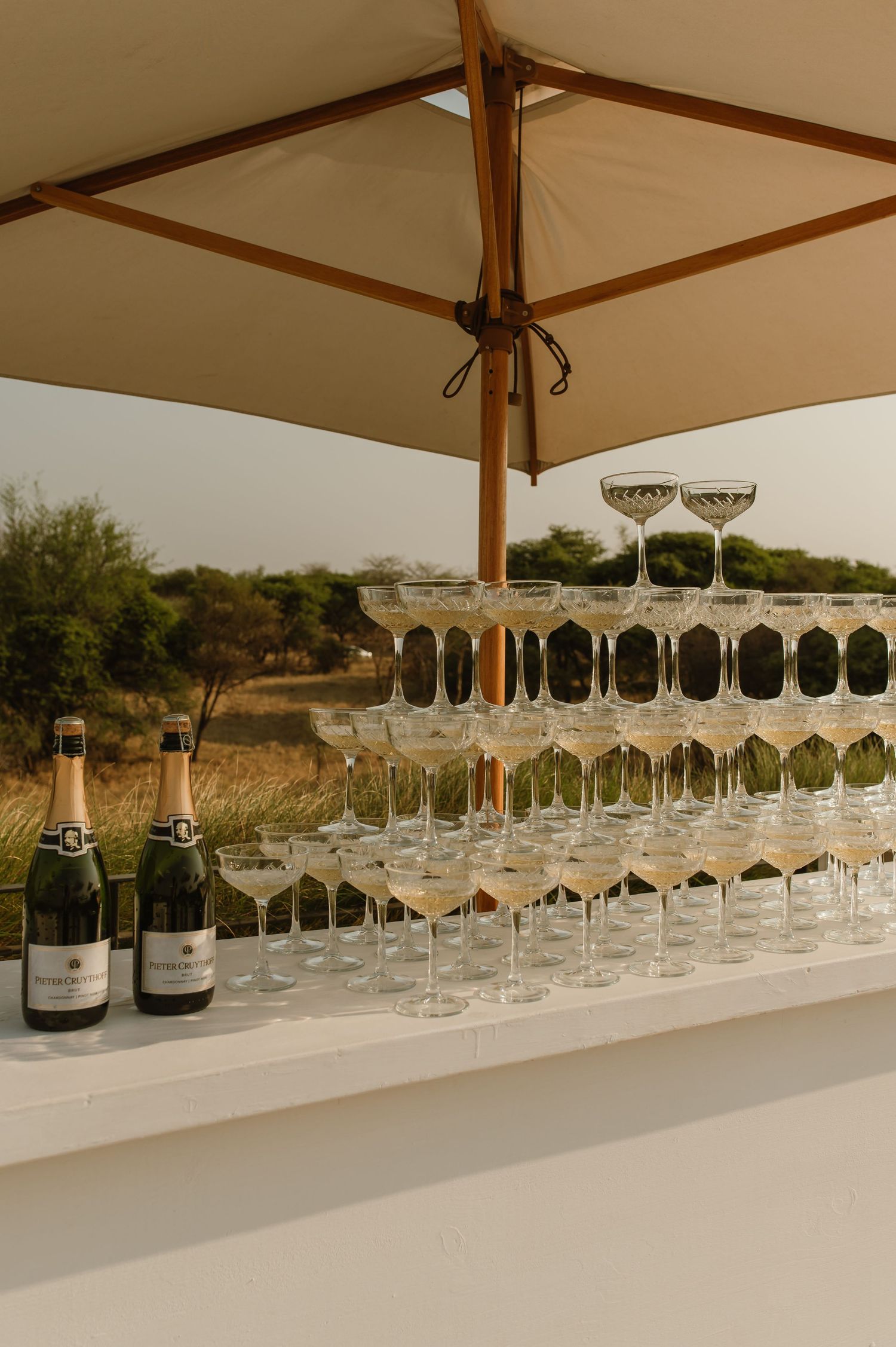 Long row of champagne glasses set up on a white table under wooden umbrellas.