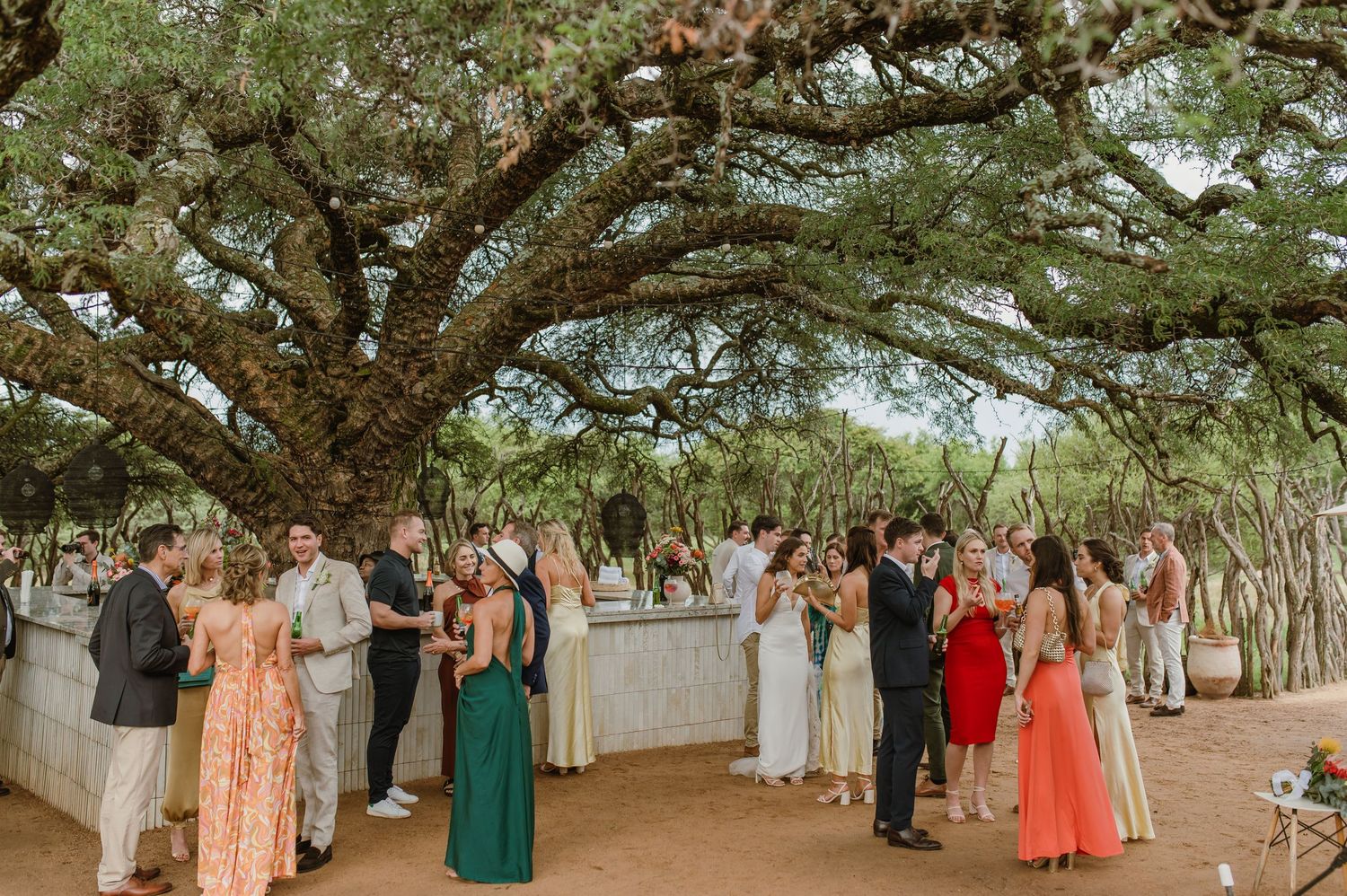 Wide panoramic view of wedding guests gathered under trees for an outdoor celebration.