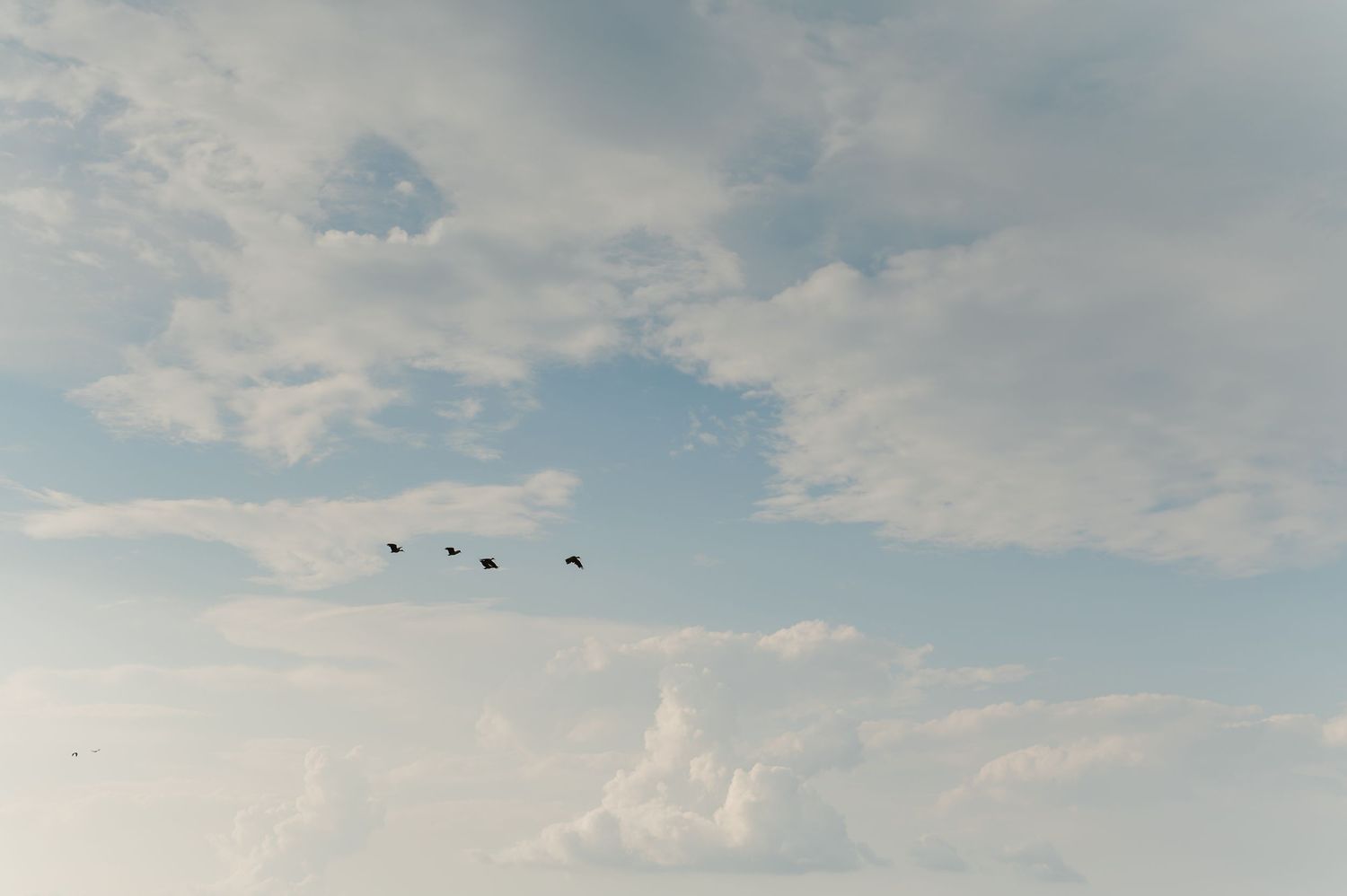 Panoramic view of cloudy blue sky with white fluffy clouds during daytime.