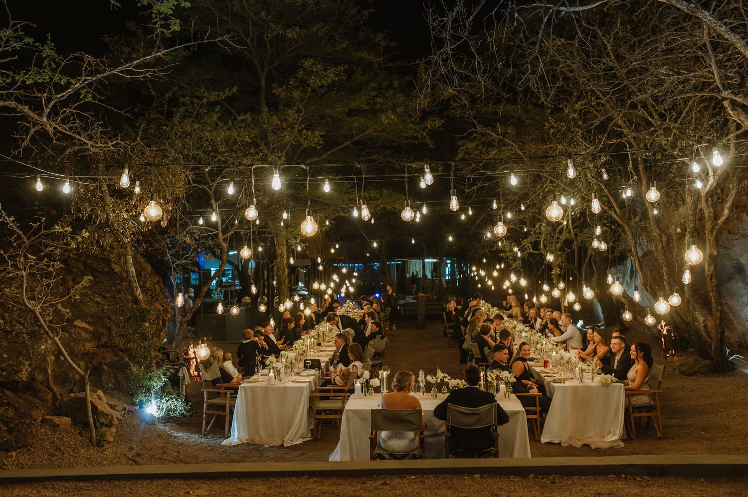 String lights illuminate outdoor wedding reception area with tables and trees.