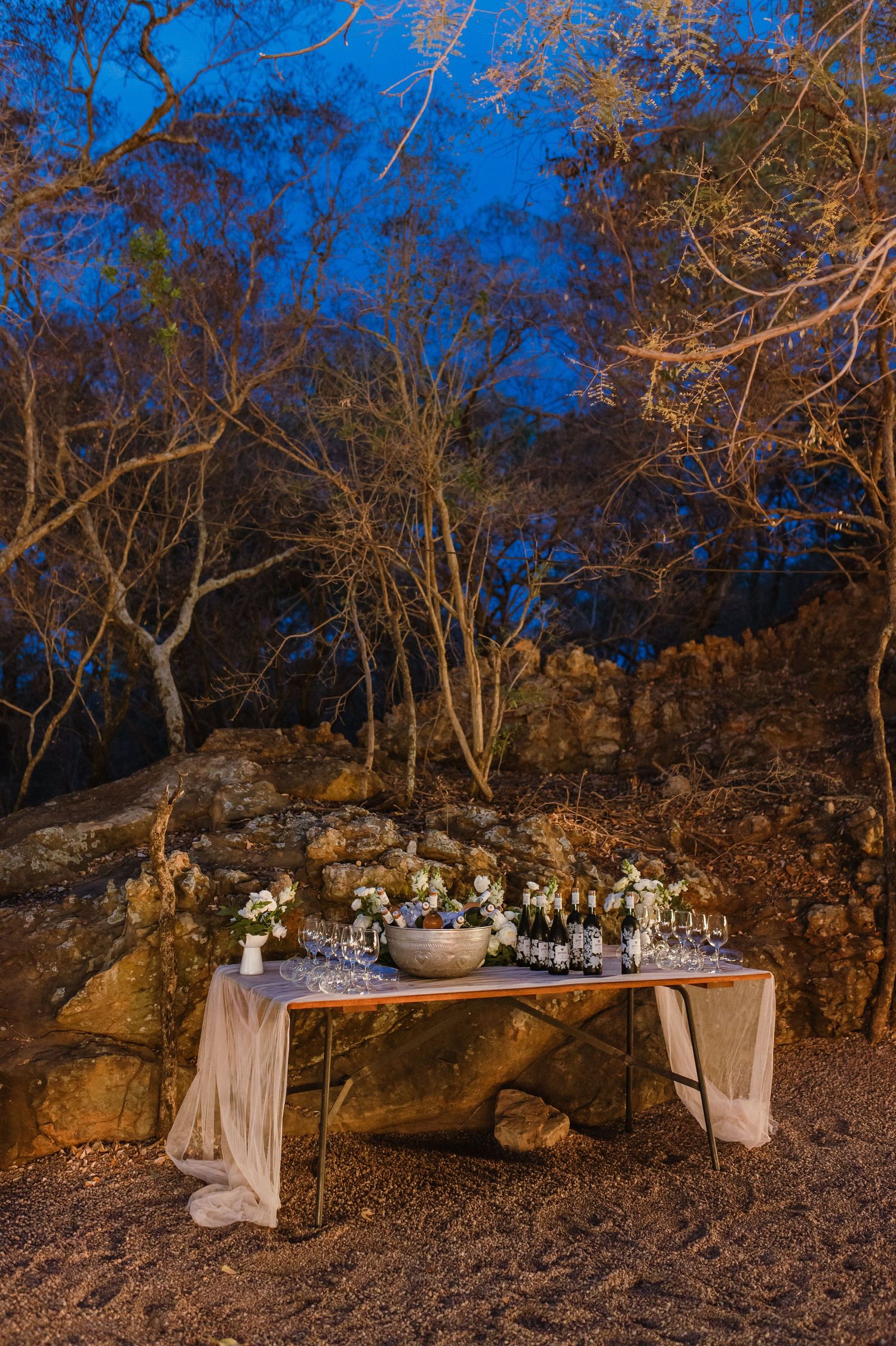 Elegant outdoor wedding reception table setup under trees with soft lighting.