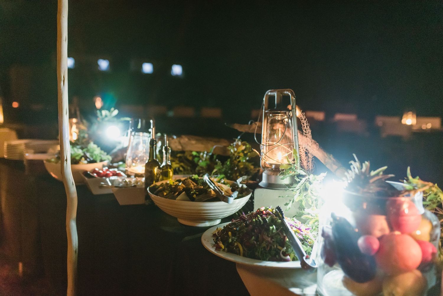 Thornybush Game Lodge, Kruger National Park Wedding by Safari Wedding Photographer Wildflower Photography
