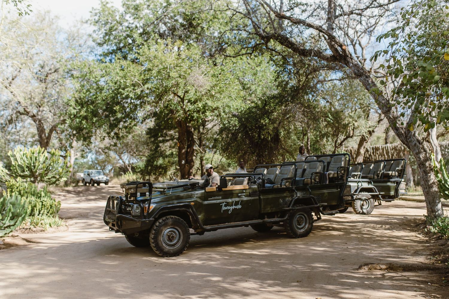 Thornybush Game Lodge, Kruger National Park Wedding by Safari Wedding Photographer Wildflower Photography