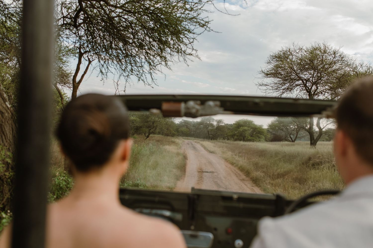 A scenic view of a dirt road winding through an African savanna landscape with acacia trees.