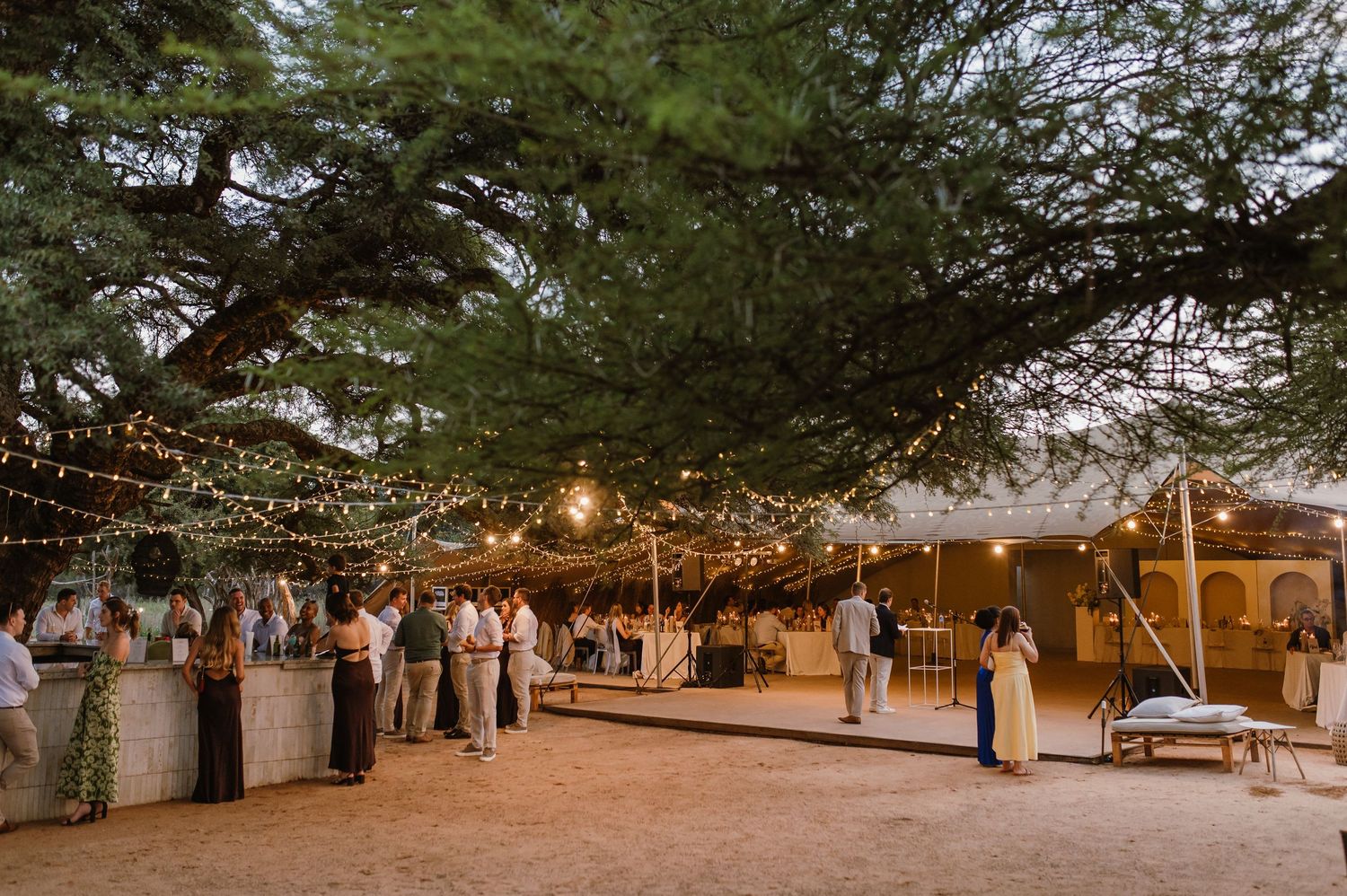 Panoramic view of an outdoor wedding venue with string lights illuminating trees at dusk.