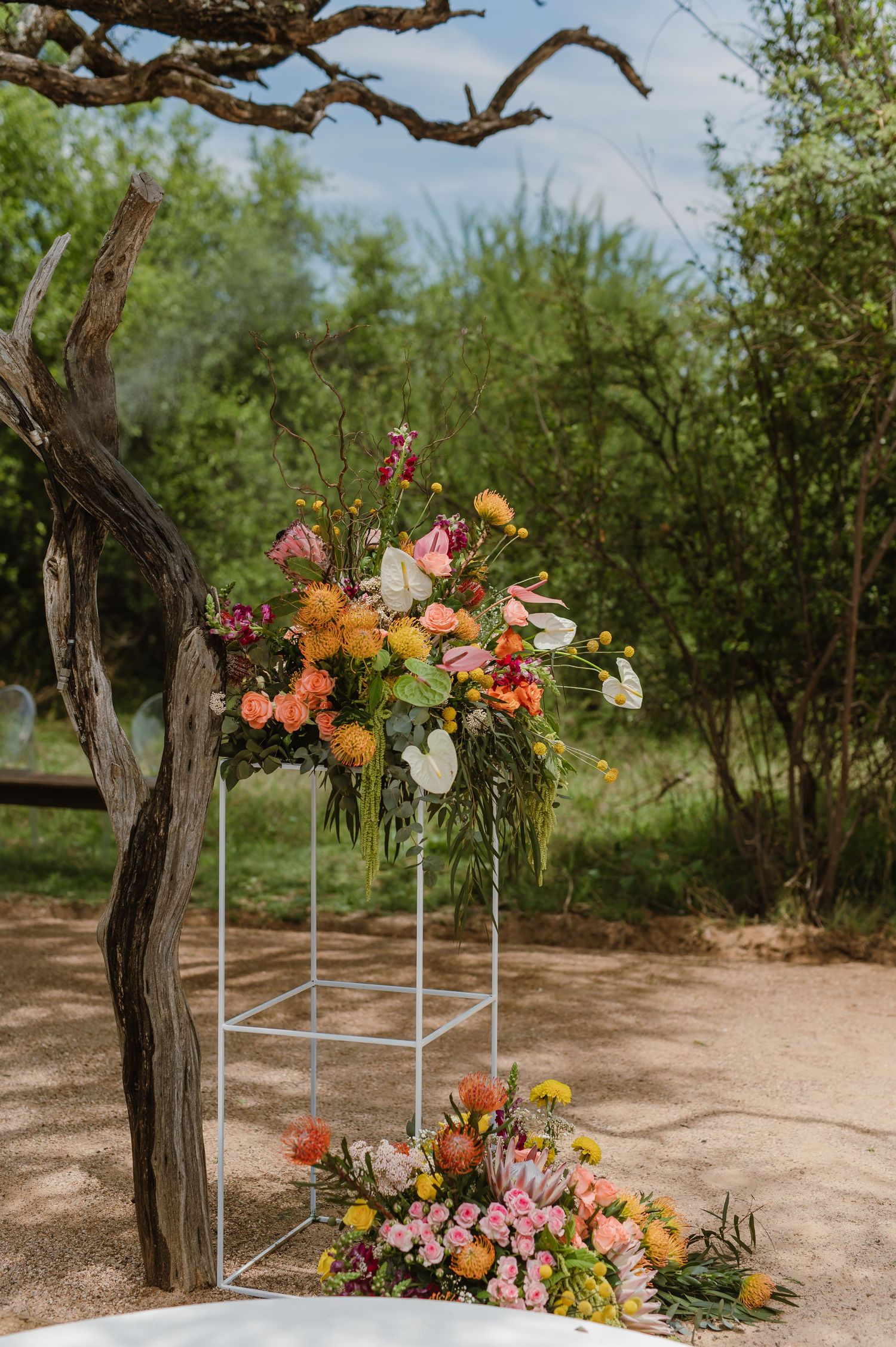White circular platform with floral arrangements and rustic wooden backdrop under large tree.