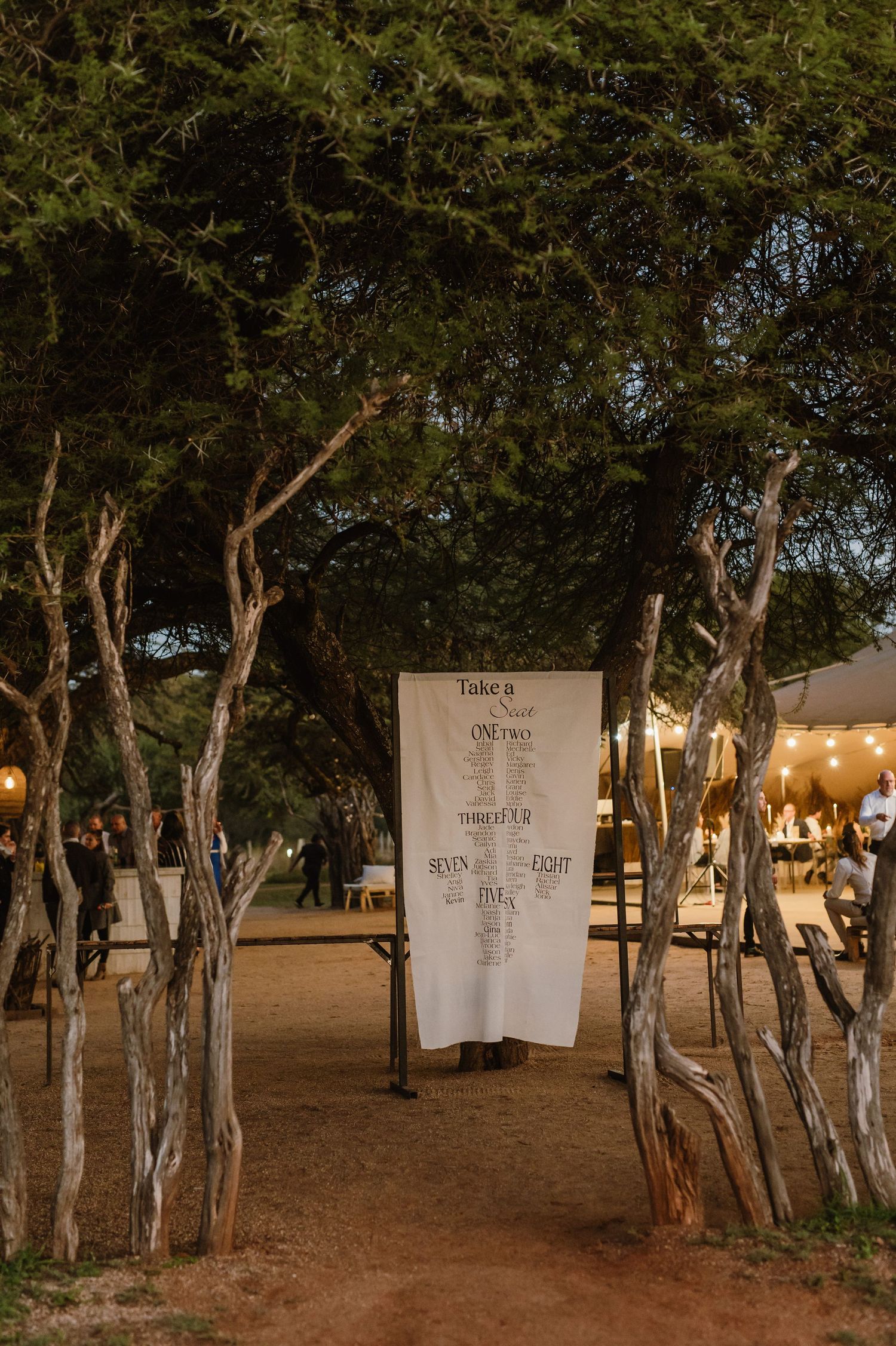 String lights illuminate pathway through trees at outdoor evening event.